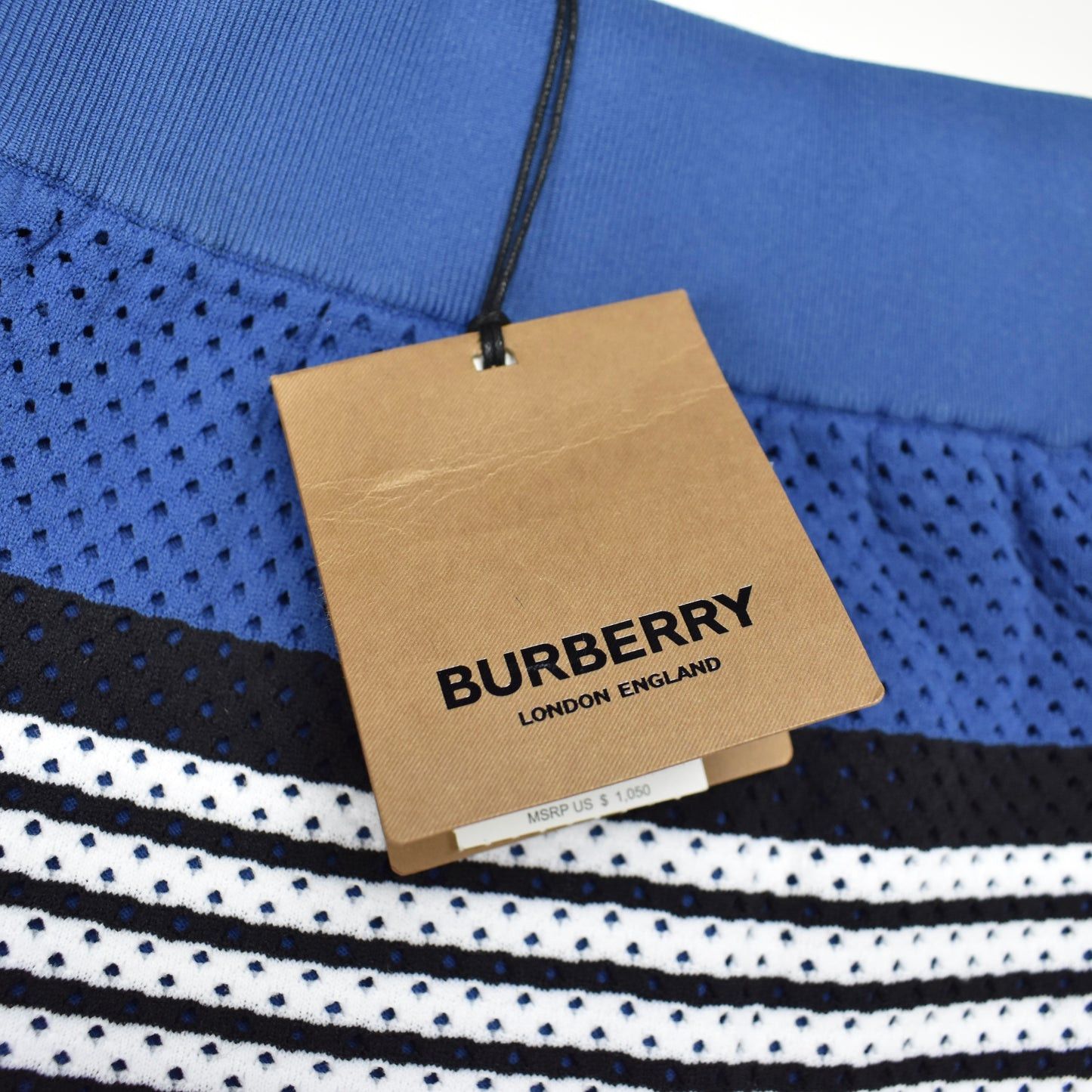 Burberry Burberry Blue Icon Stripe Knit Mesh Shorts Size US 30 / EU 46 - 6 Thumbnail