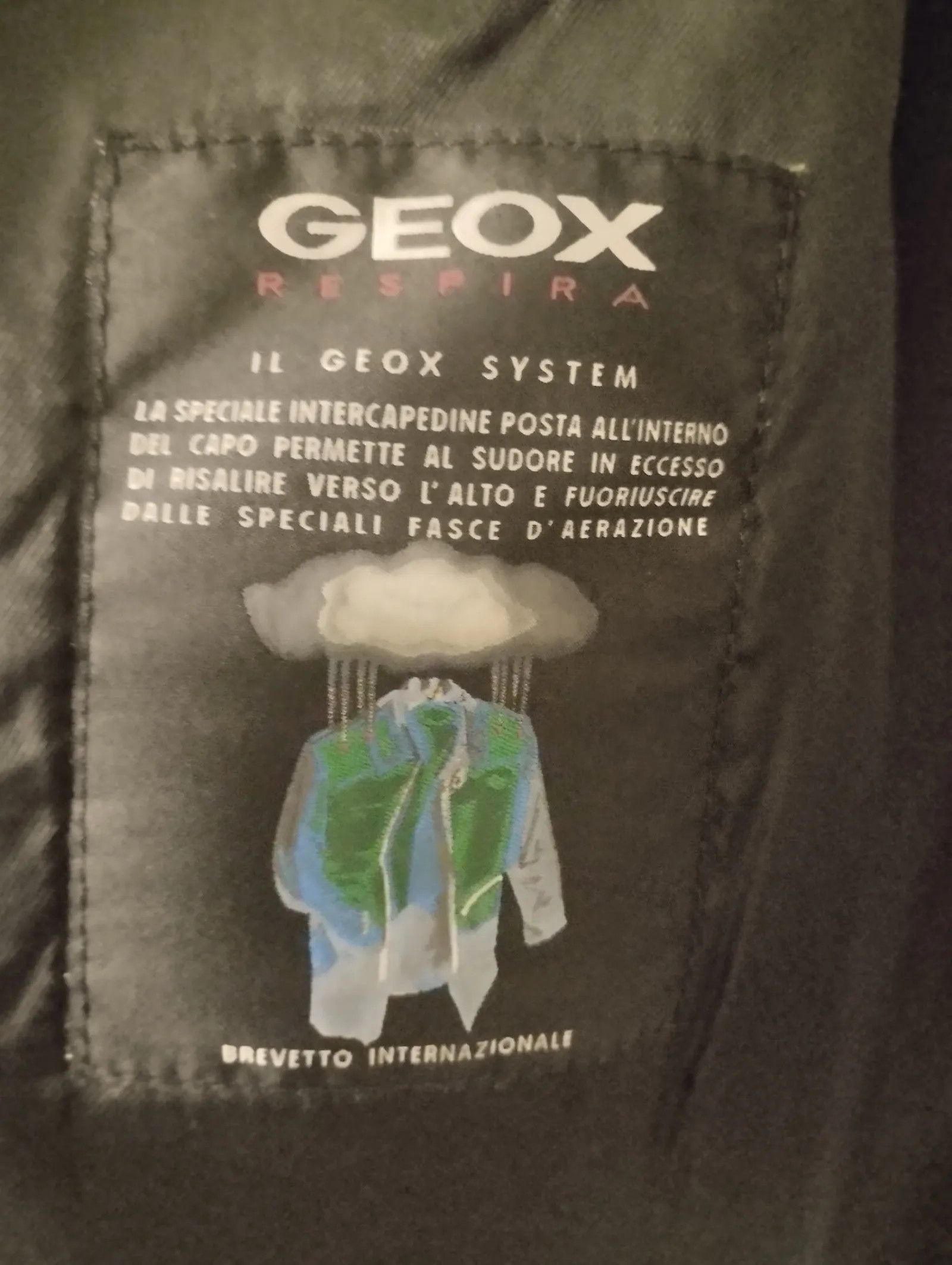 Geox Geox Resperia Coat Size US L / EU 52-54 / 3 - 3 Thumbnail