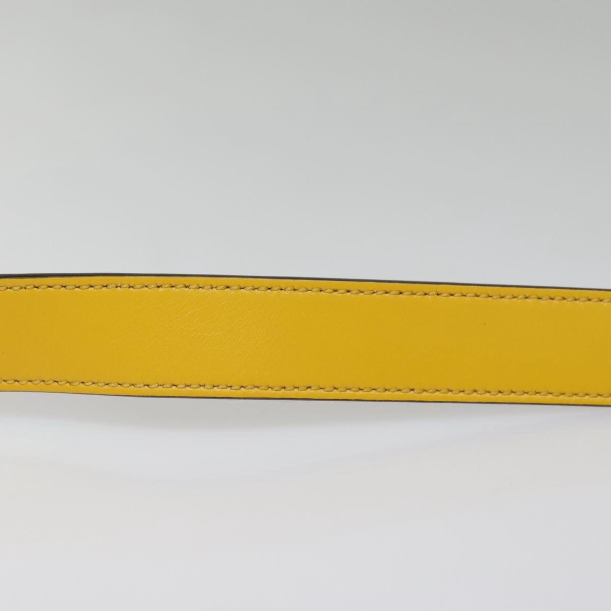Gucci Diamantissima Yellow Leather Shoulder Bag (Pre-Owned) Size ONE SIZE - 17 Thumbnail