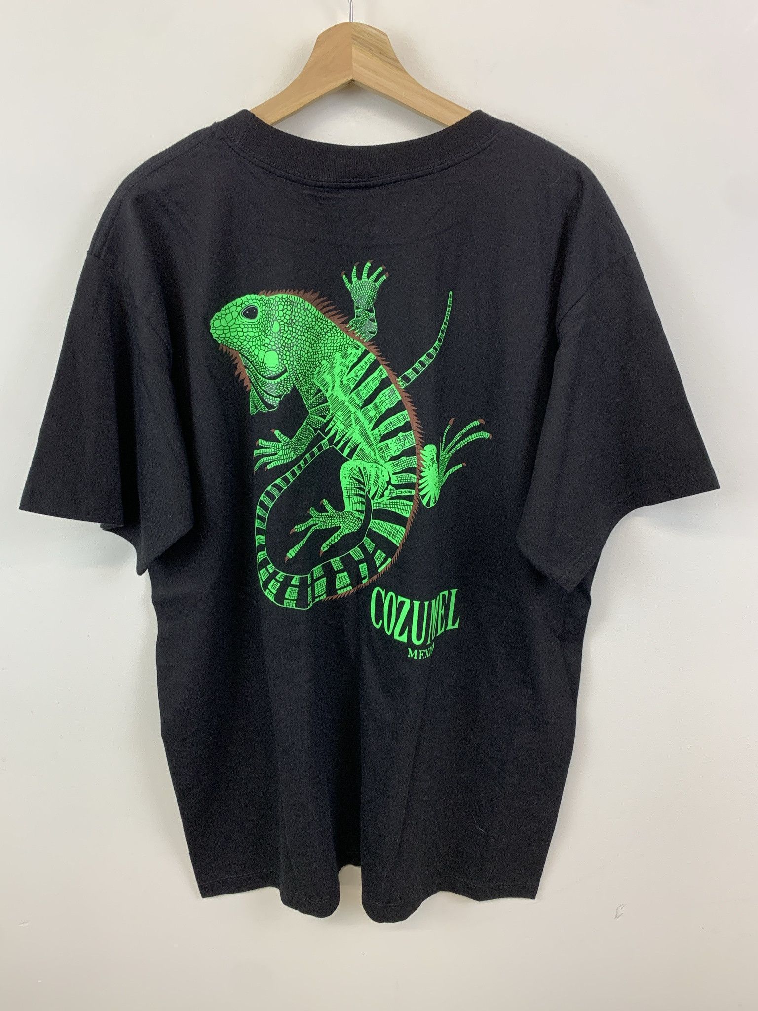 Vintage Vintage Mexico Tee 2000s Cozumel Mexico Lizard Tee Size XXL Size US XXL / EU 58 / 5 - 3 Thumbnail
