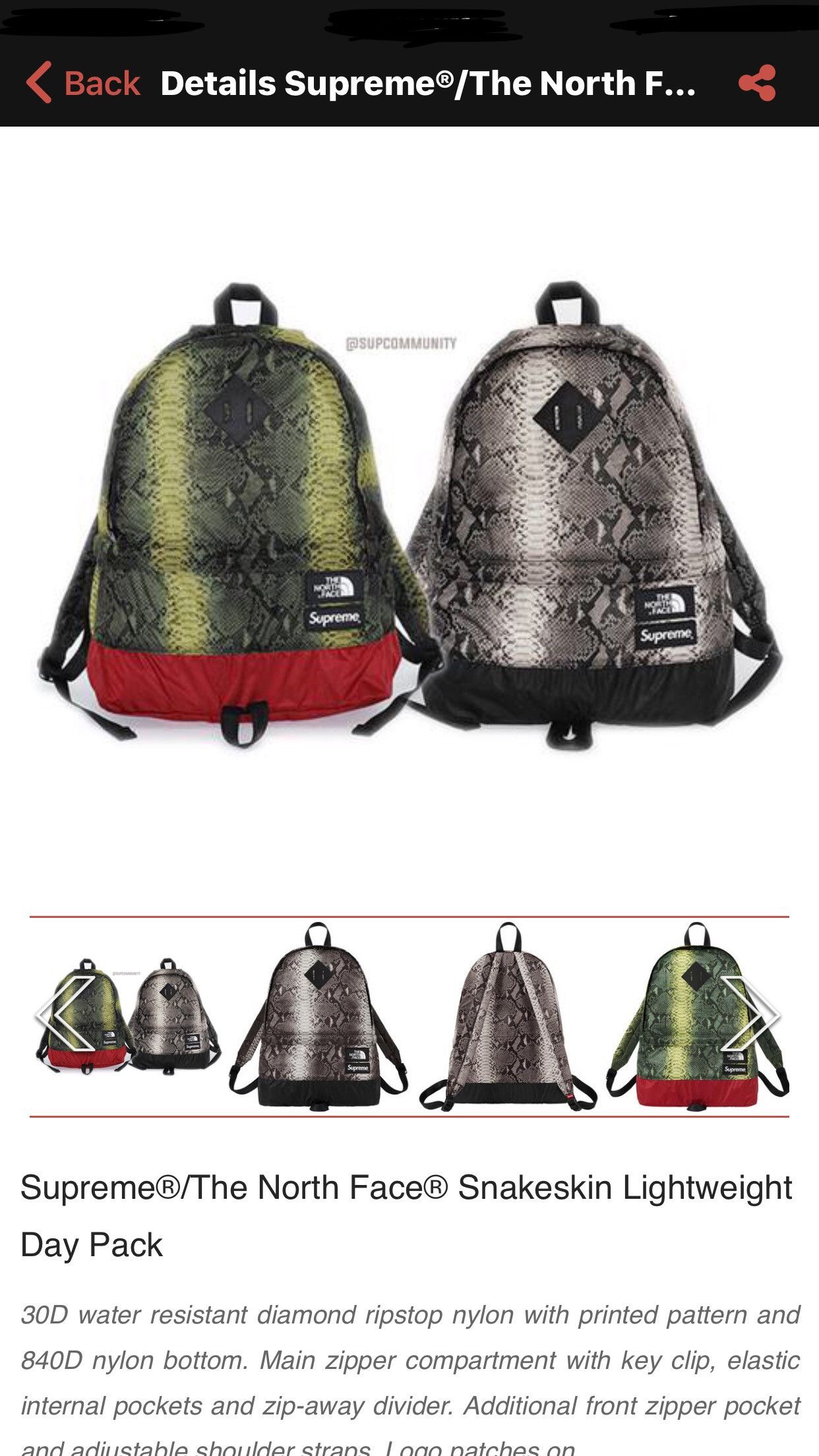 Supreme Supreme/ The North Face Snakeskin Lightweight Day Pack