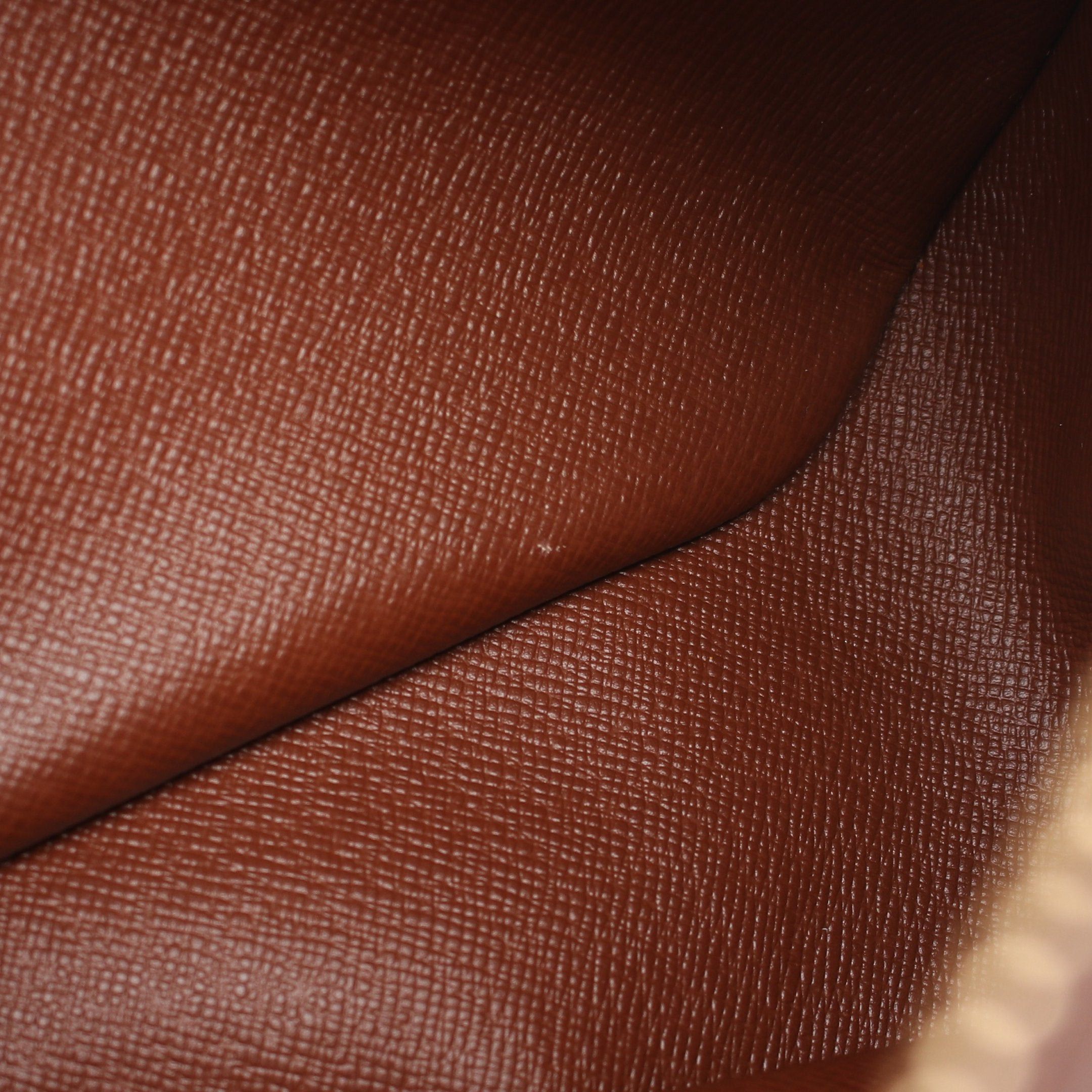Louis Vuitton Louis Vuitton Blower Monogram Shoulder Bag Leather Brown Size ONE SIZE - 9 Thumbnail