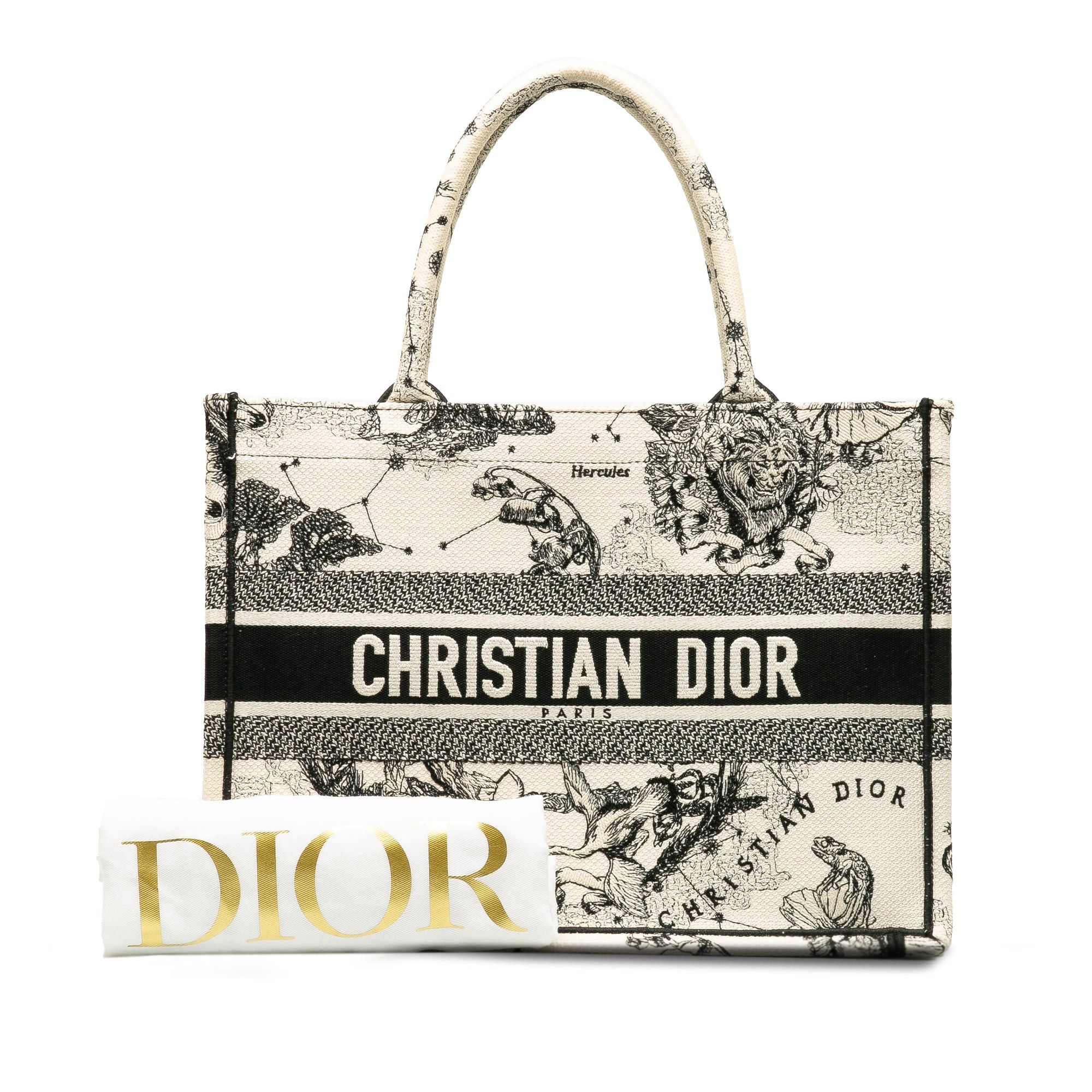 Dior Dior Small Zodiac Book Tote White Size ONE SIZE - 9 Thumbnail