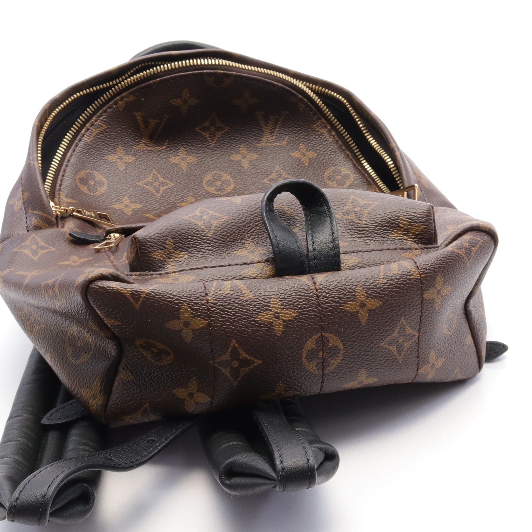 Louis Vuitton Louis Vuitton Palm Springs Pm Monogram Backpack Rucksack Leather Brown Black Size ONE SIZE - 6 Thumbnail