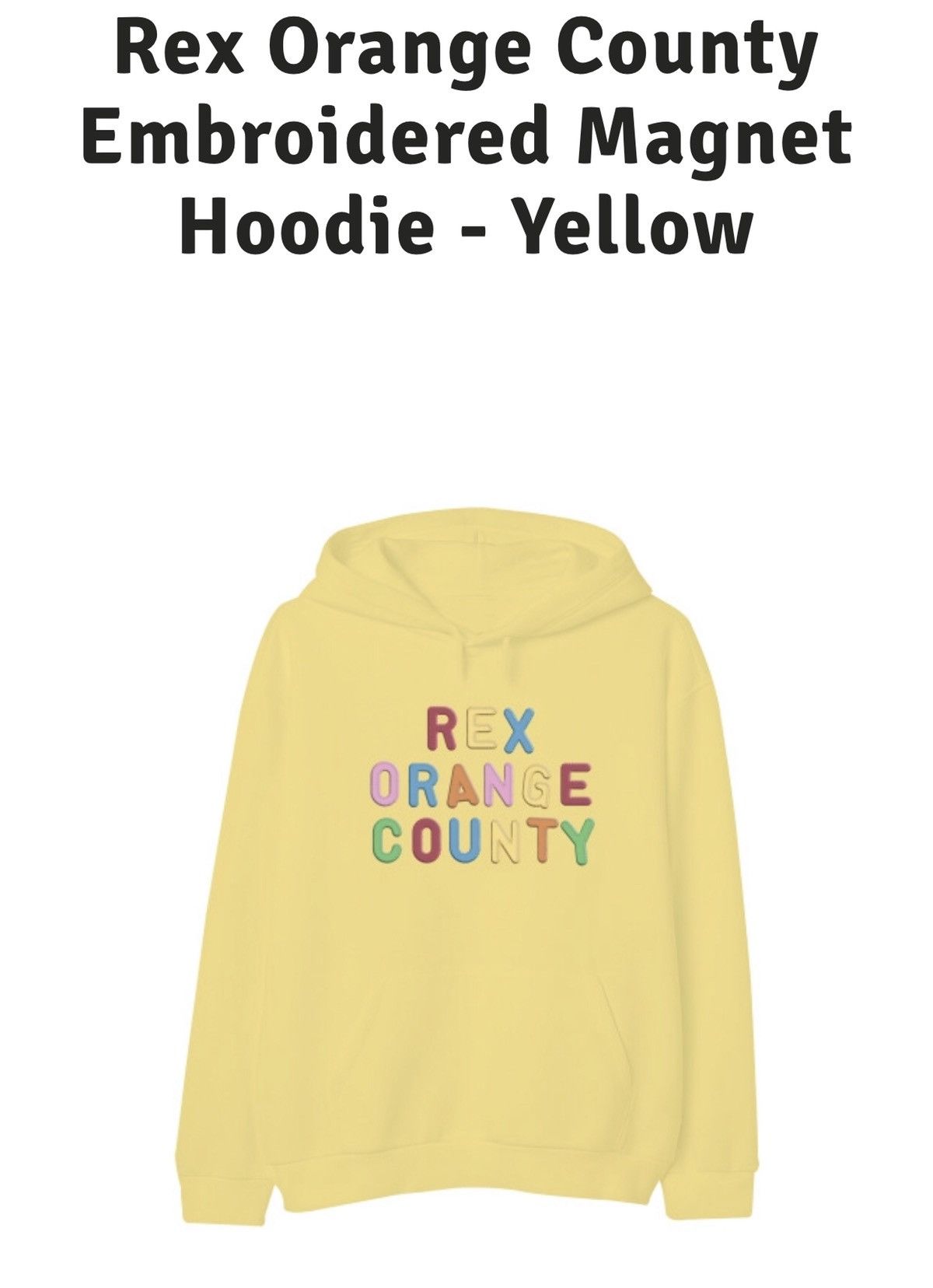 Rex orange county embroidered clearance magnet hoodie