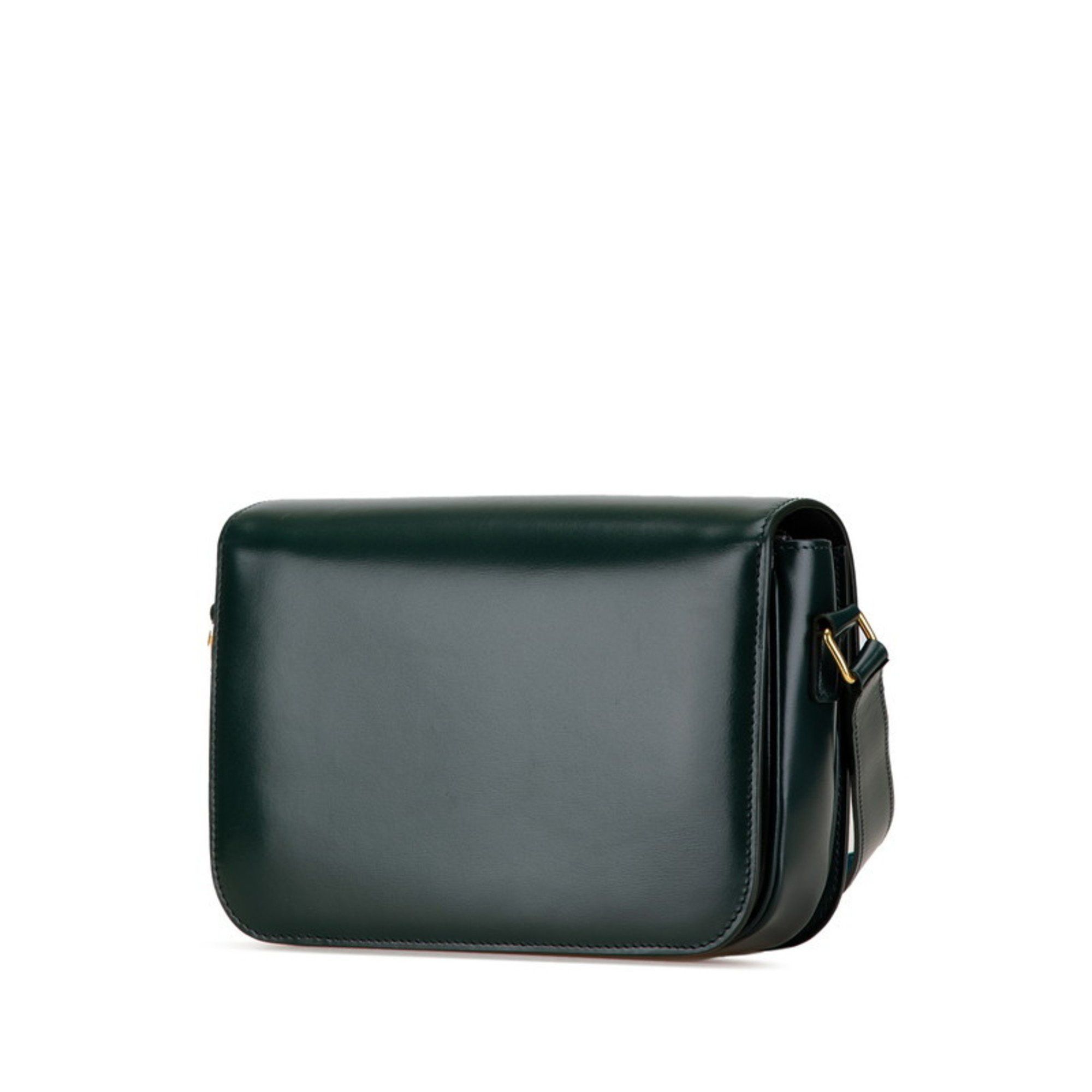 Celine Céline Triomphe shoulder Size ONE SIZE - 2 Thumbnail