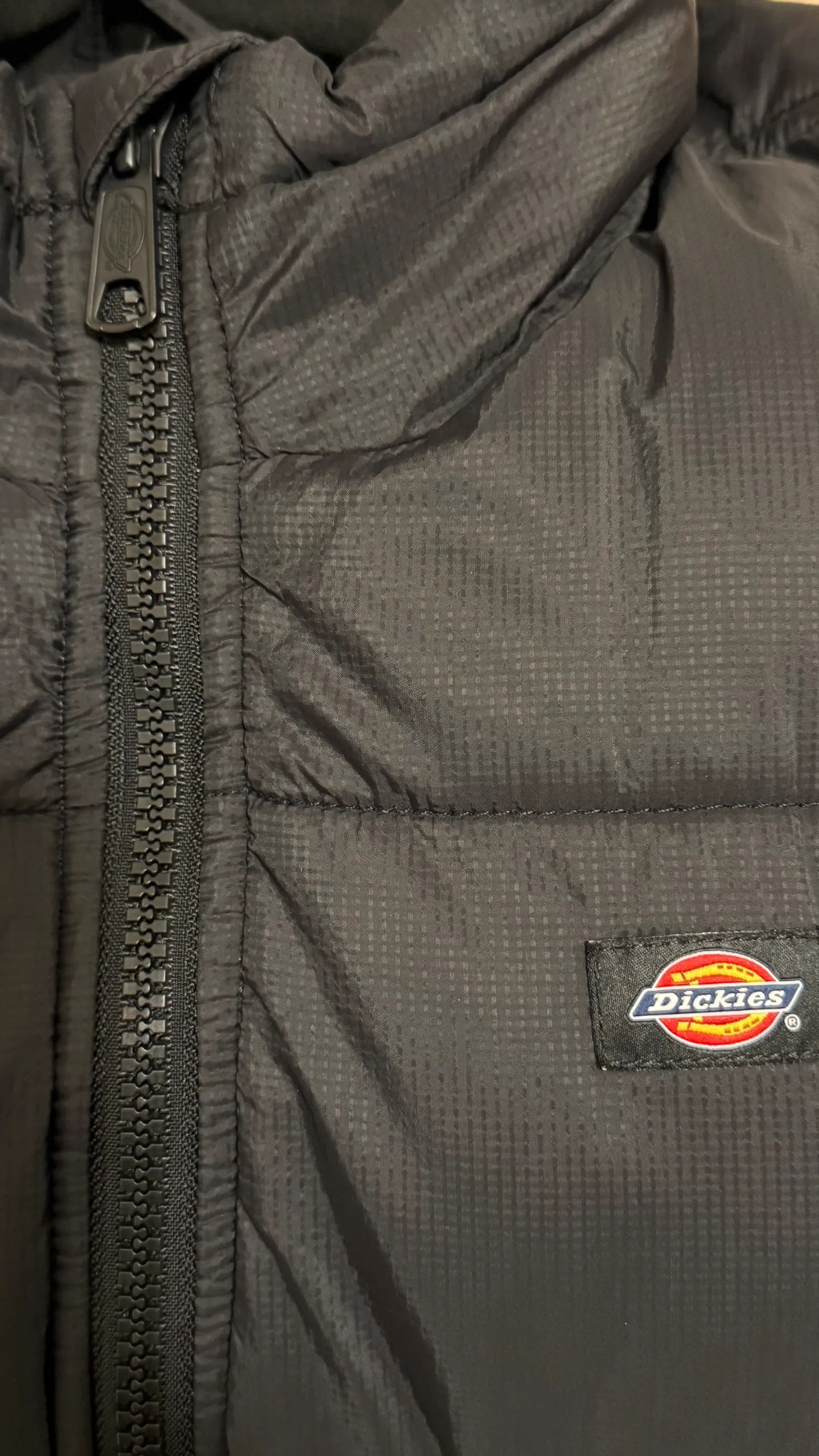 Dickies Dickies Alatna Jacket Size M / US 6-8 / IT 42-44 - 4 Thumbnail