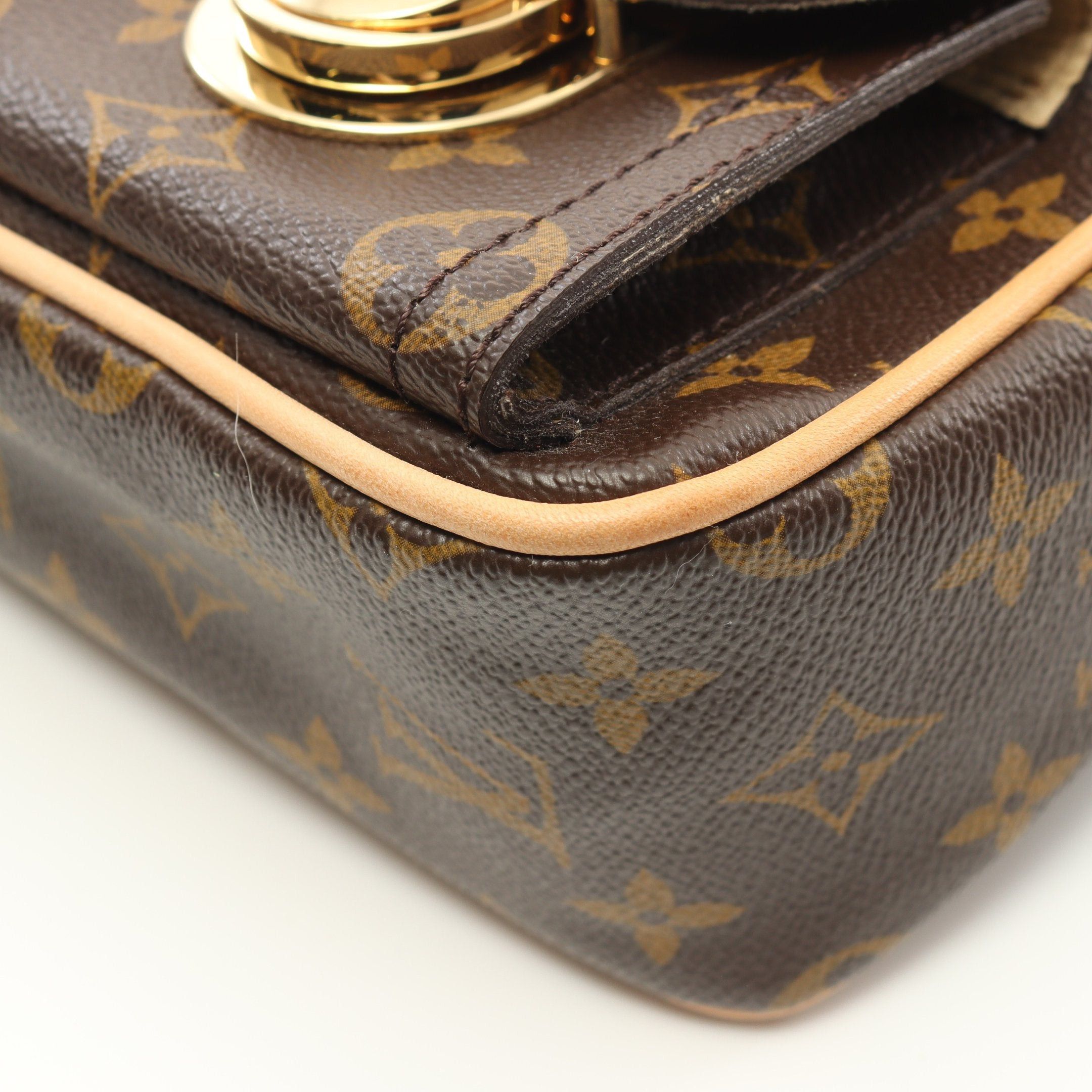 Louis Vuitton Louis Vuitton Hudson Pm Monogram Shoulder Bag Leather Brown Size ONE SIZE - 6 Thumbnail