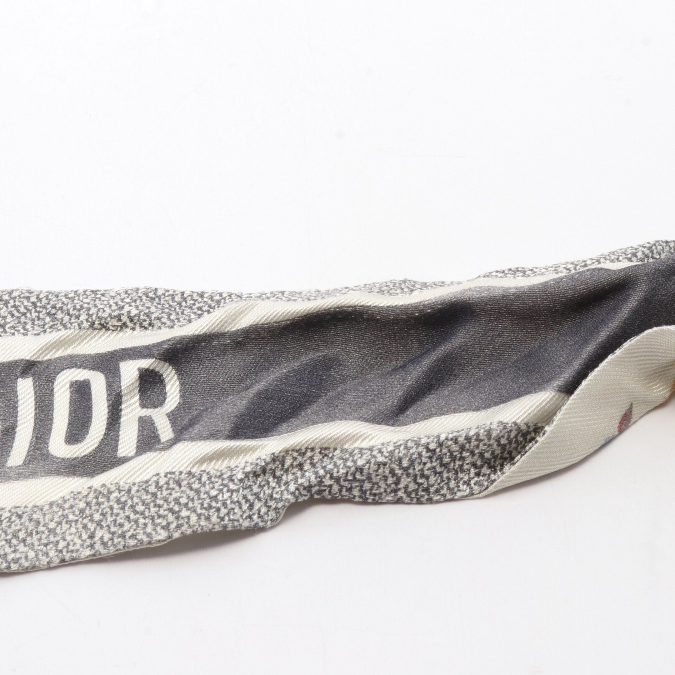 Dior Dior Mitzah Ribbon Scarf Silk Ivory Gray Multicolor Size ONE SIZE - 4 Thumbnail