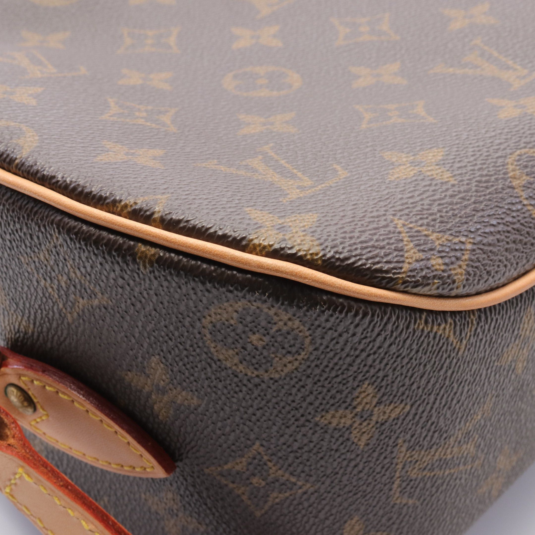 Louis Vuitton Louis Vuitton Blower Monogram Shoulder Bag Leather Brown Size ONE SIZE - 7 Thumbnail