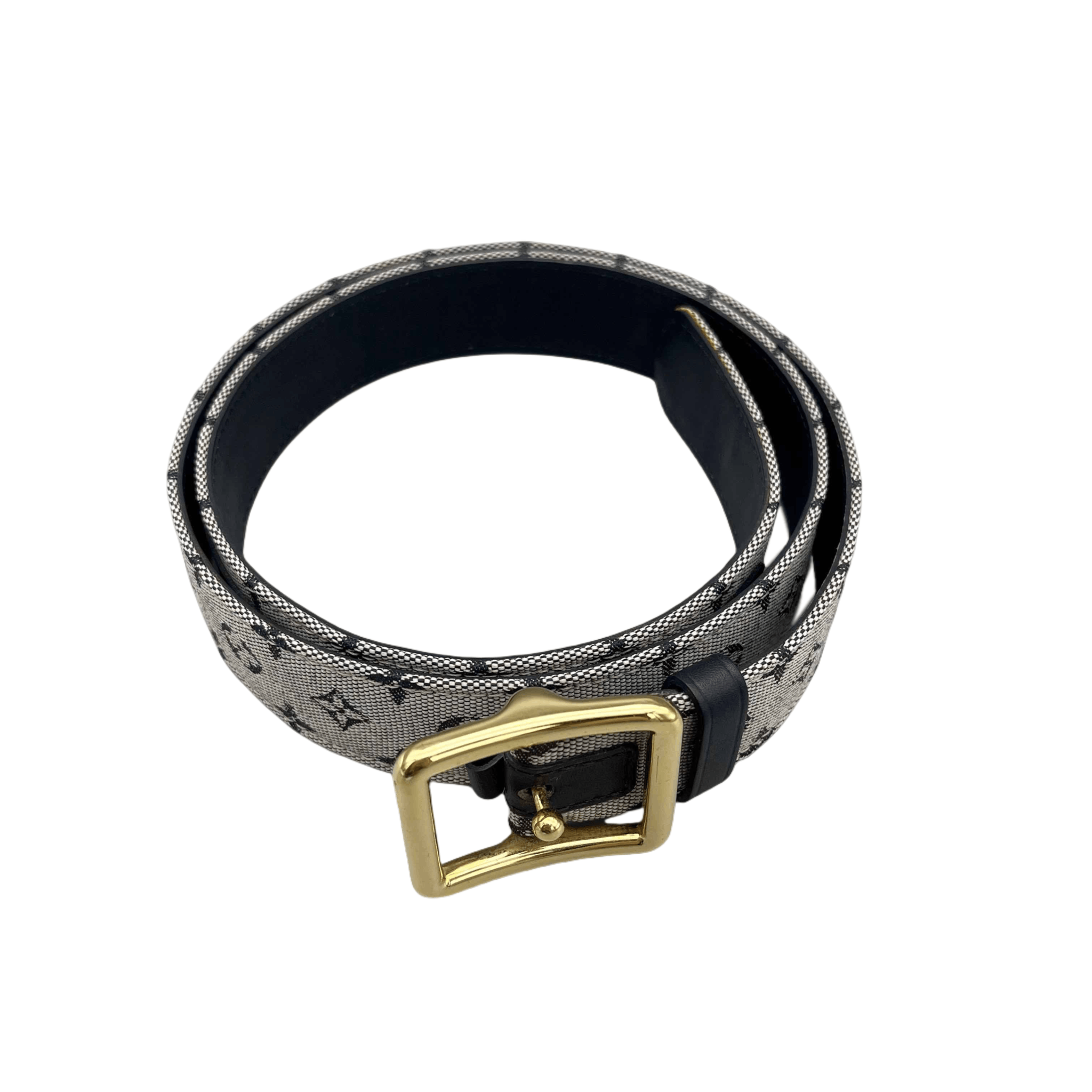 Louis Vuitton Louis Vuitton Monogram Minilan Santur Sr0053 Size ONE SIZE - 3 Thumbnail