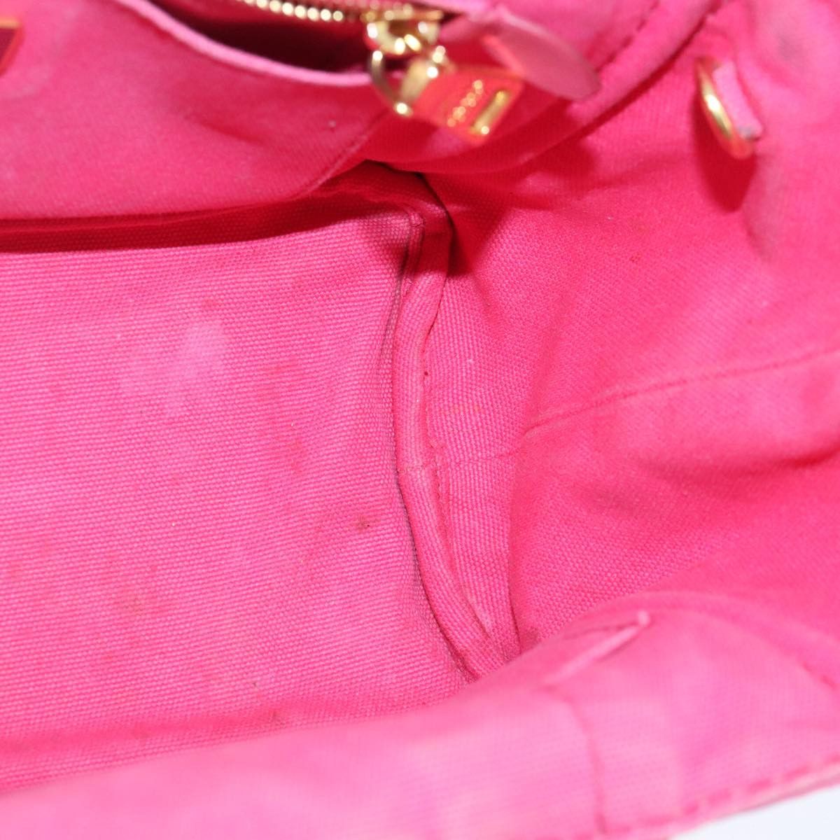 Canapa Pink Canvas Handbag (Pre-Owned)