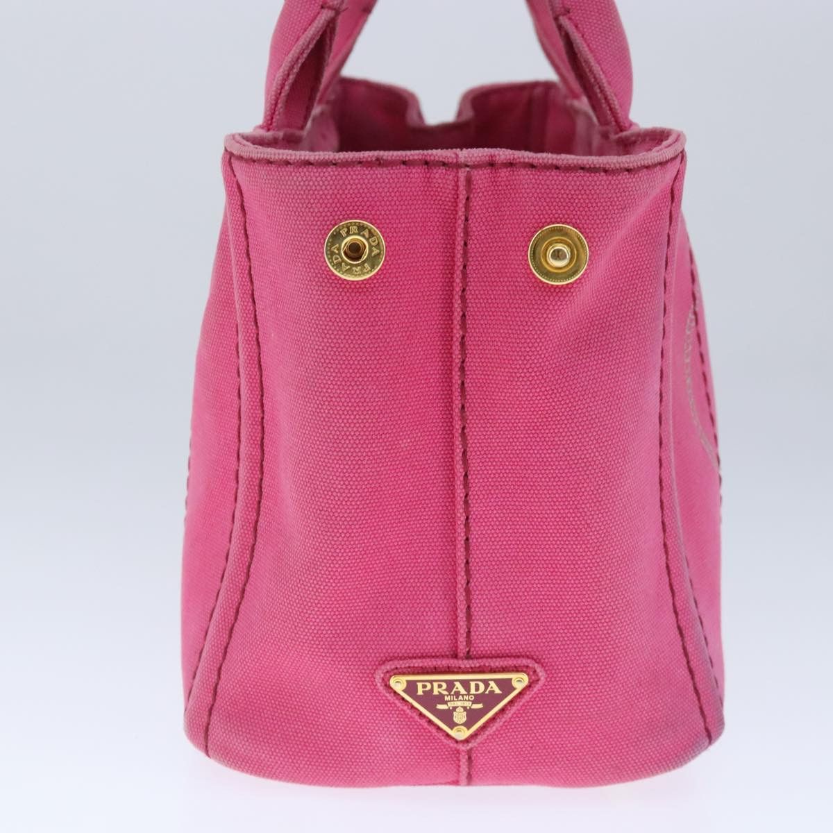 Canapa Pink Canvas Handbag (Pre-Owned)