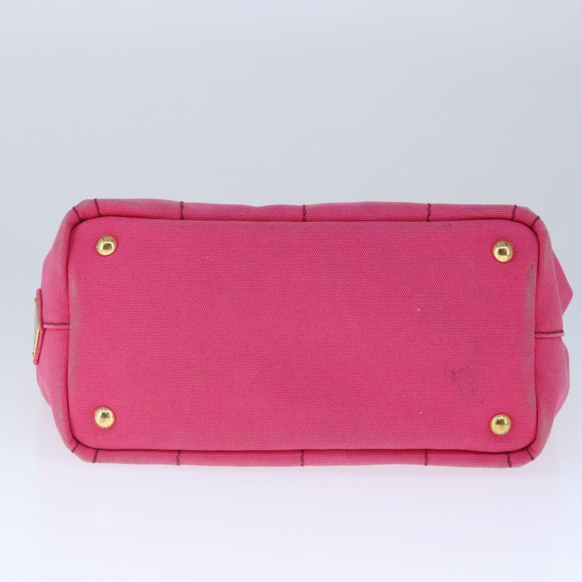 Canapa Pink Canvas Handbag (Pre-Owned)