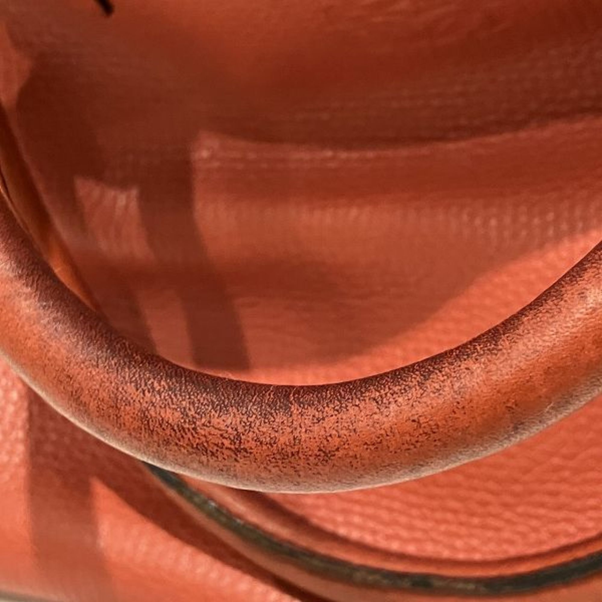 Loewe Loewe Amazona handbag Size ONE SIZE - 5 Thumbnail