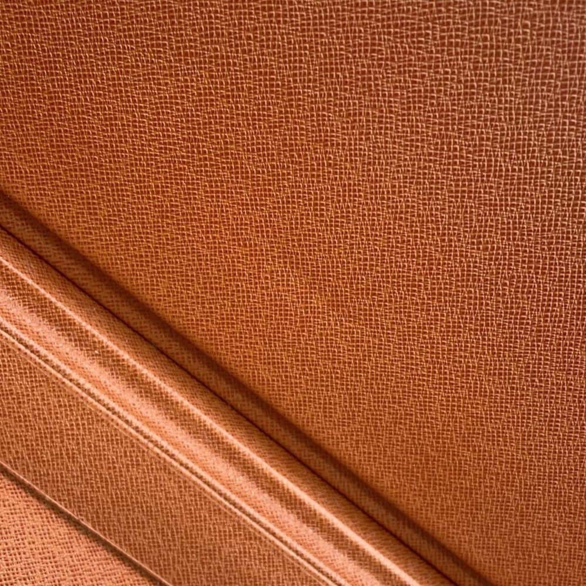 Louis Vuitton Louis Vuitton President briefcase Size ONE SIZE - 16 Thumbnail