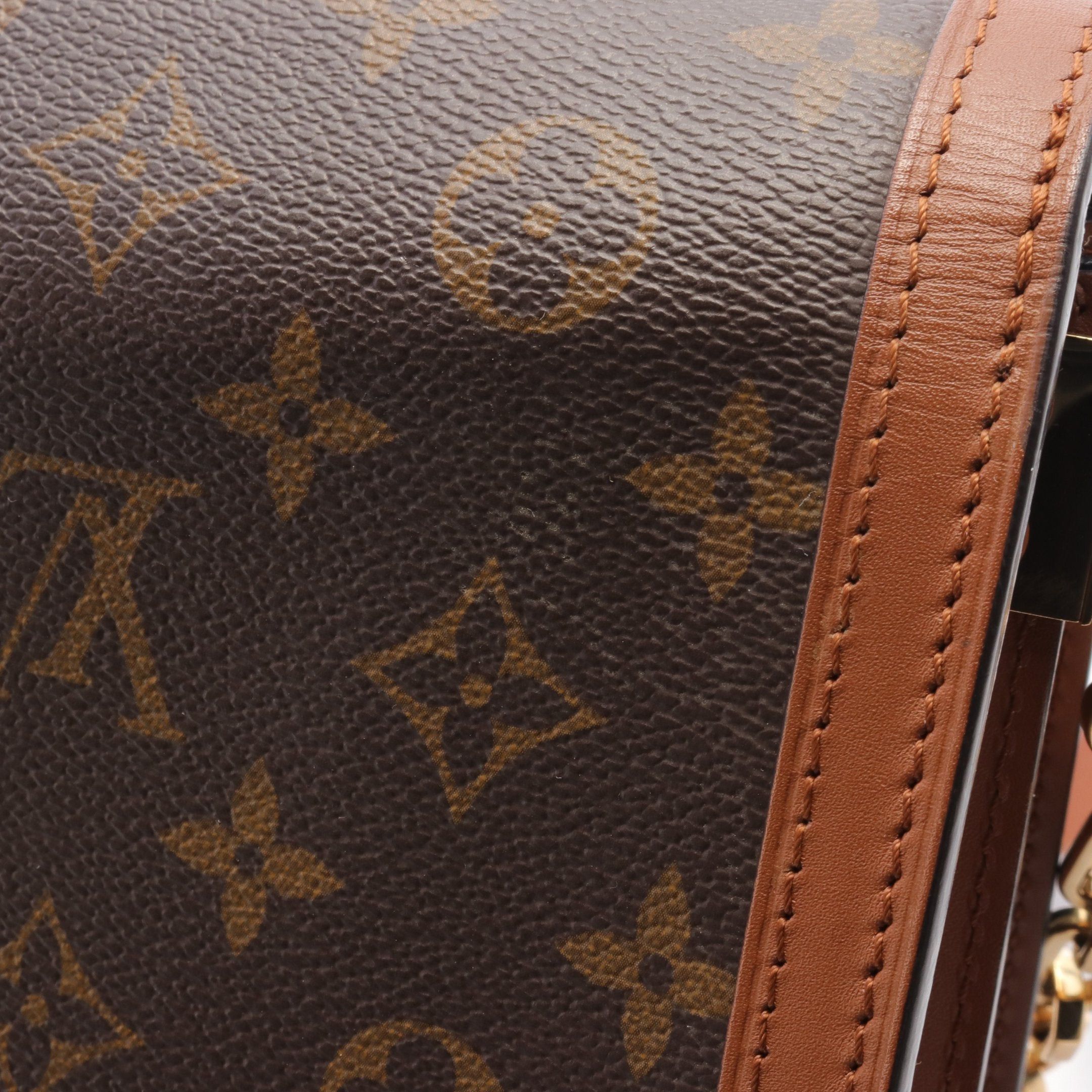 Louis Vuitton Louis Vuitton Dauphine Mm Monogram Reverse Chain Shoulder Bag Leather Brown Beige Light Size ONE SIZE - 10 Thumbnail
