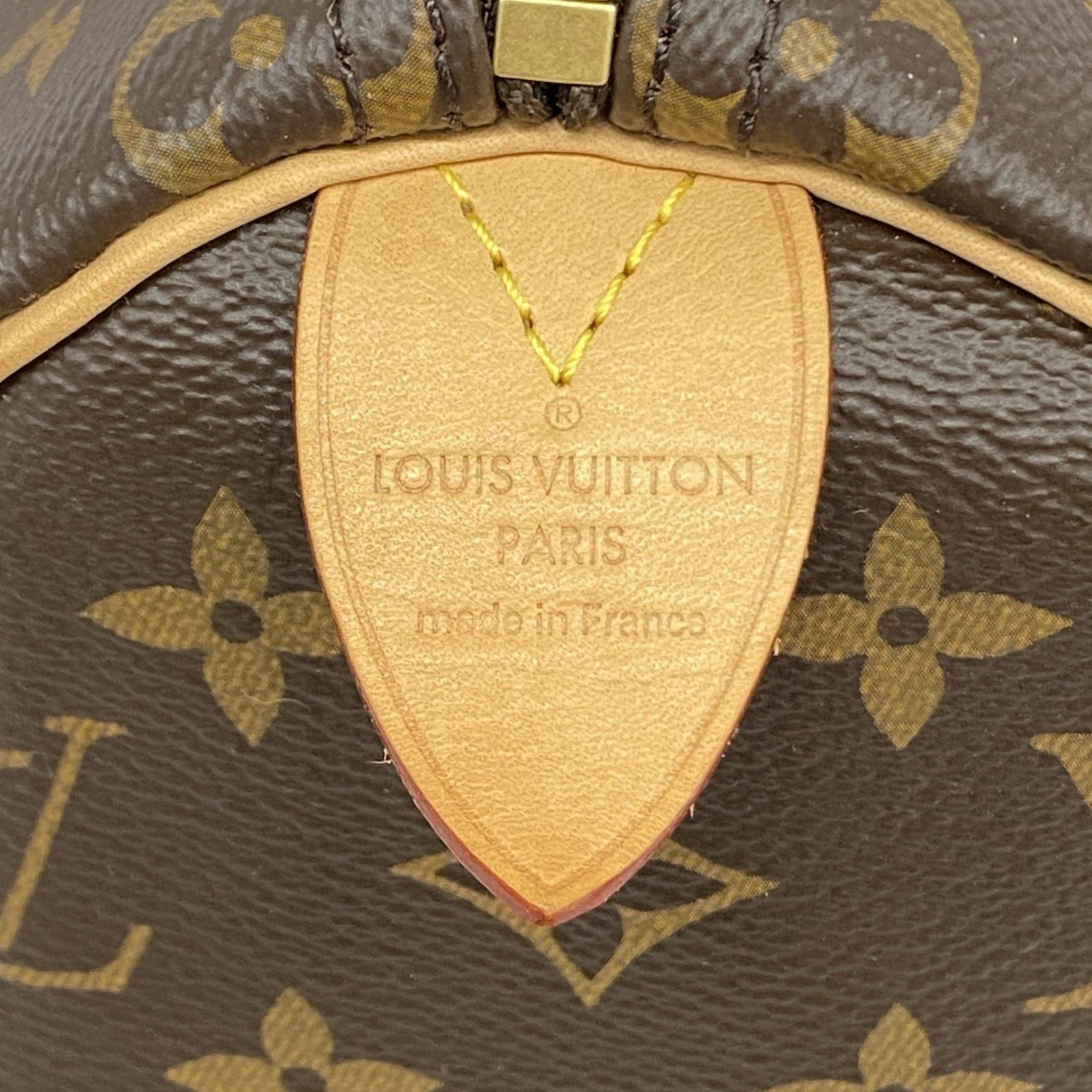 Louis Vuitton Louis Vuitton handbag Size ONE SIZE - 12 Thumbnail