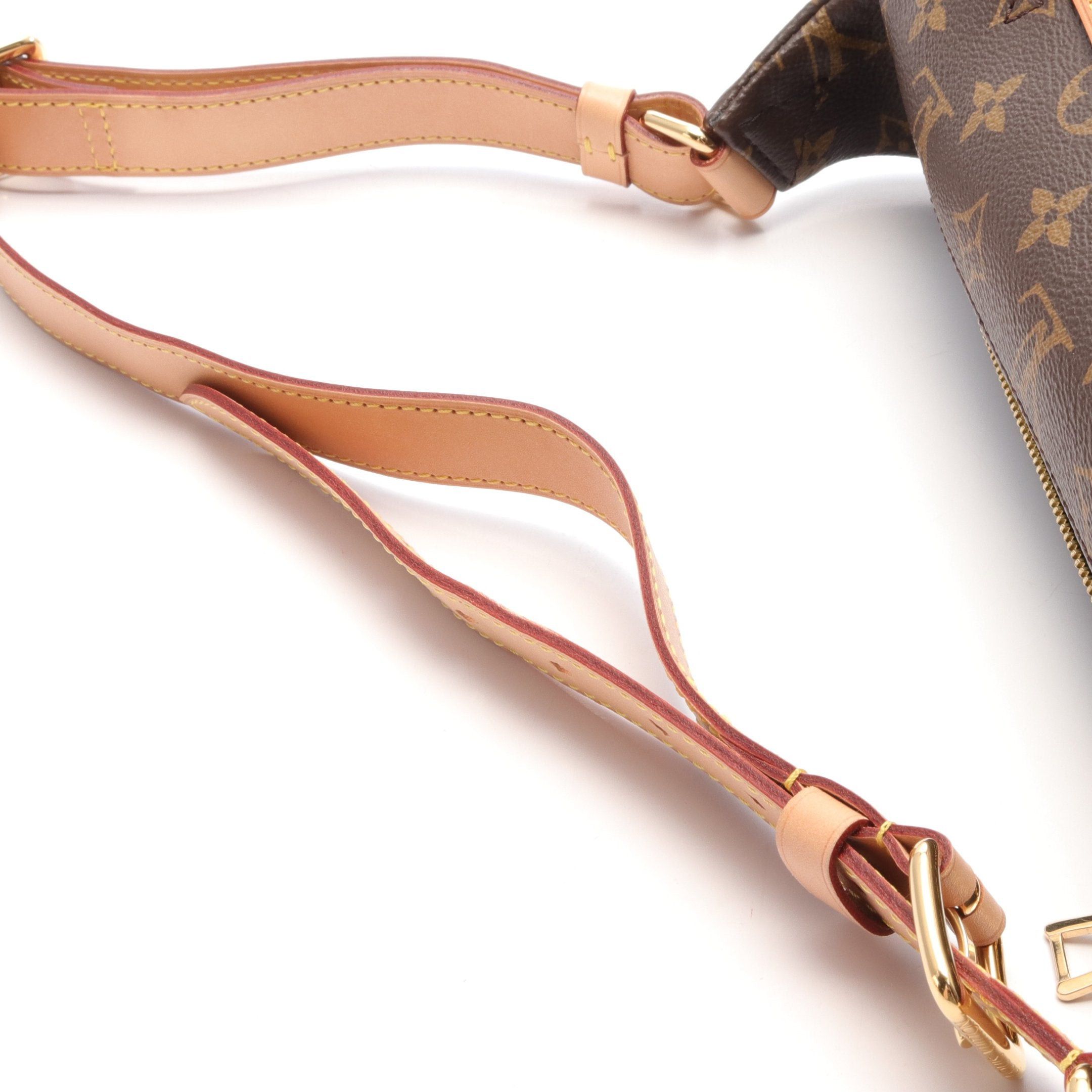 Louis Vuitton Louis Vuitton Bum Bag Monogram Body Waist Leather Brown Size ONE SIZE - 6 Thumbnail