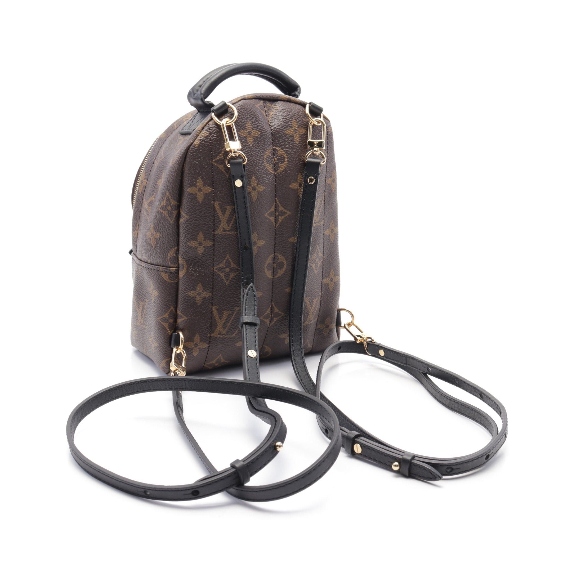 Louis Vuitton Louis Vuitton Palm Springs Backpack Mini Monogram Rucksack Leather Brown Black Size ONE SIZE - 2 Thumbnail