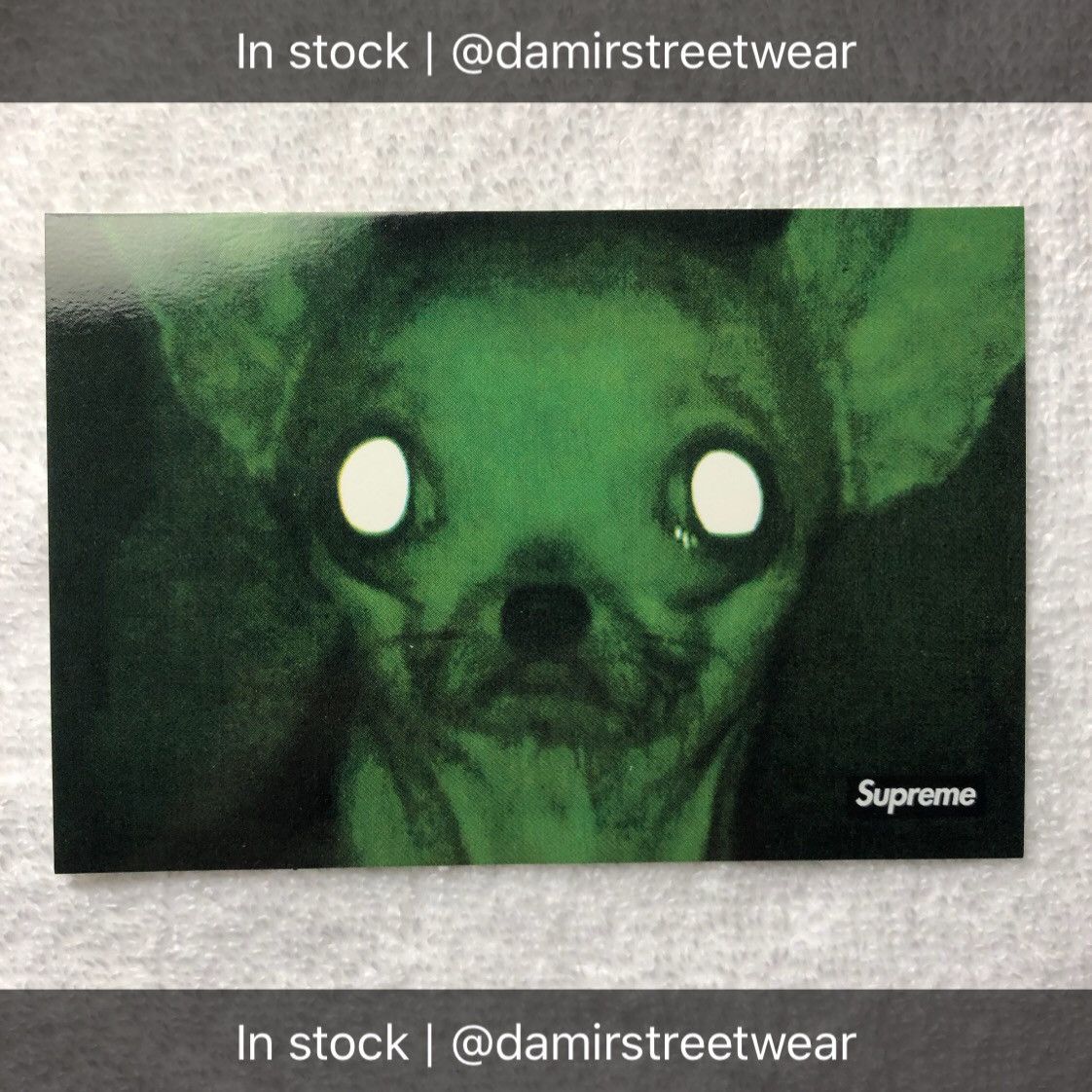 Supreme chihuahua sticker new arrivals