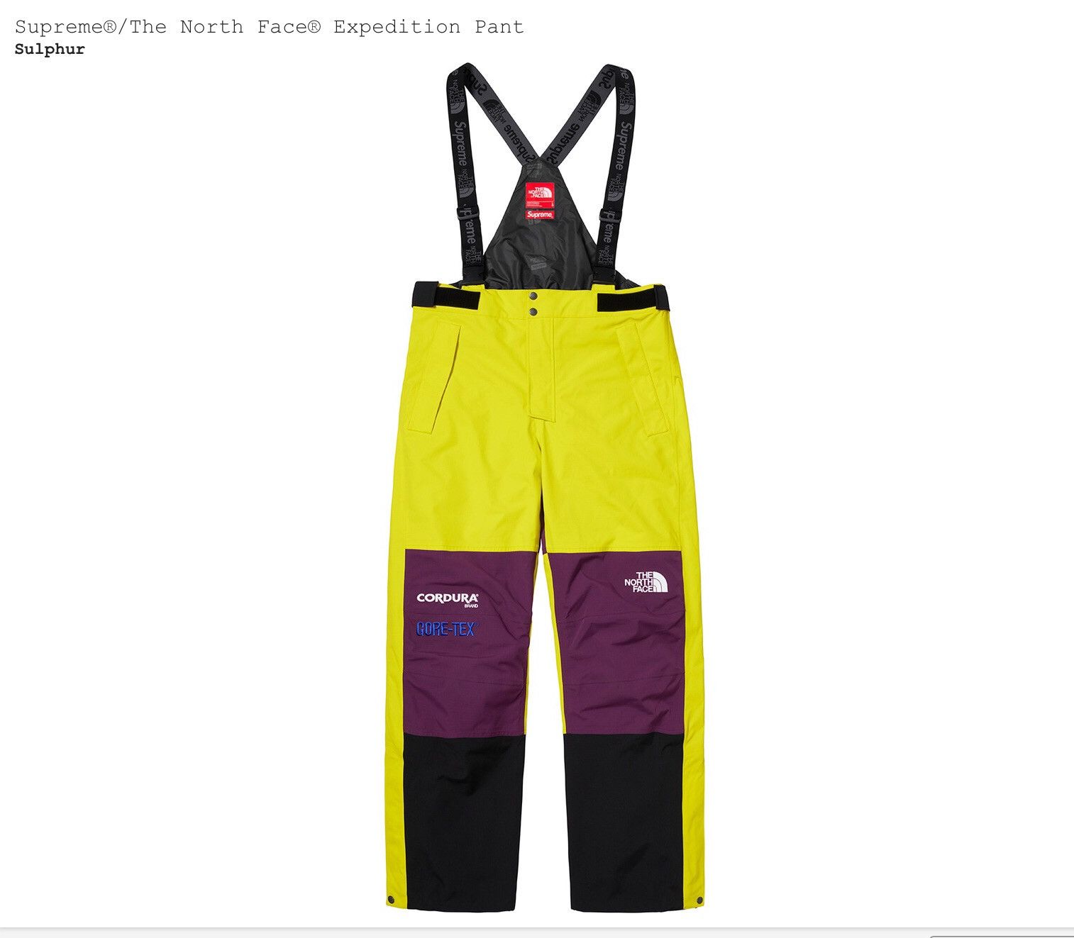 Supreme The North Face Expedition Pant | Grailed