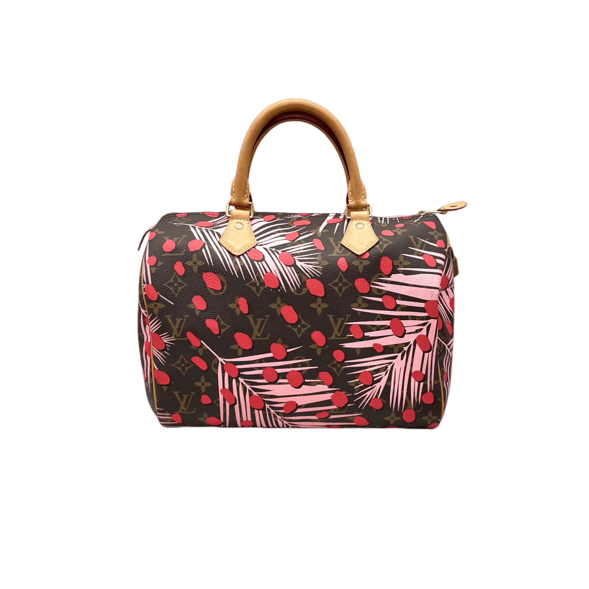 Louis Vuitton Louis Vuitton Monogram Jungle Dot Speedy 30 Handbag Size ONE SIZE - 4 Thumbnail