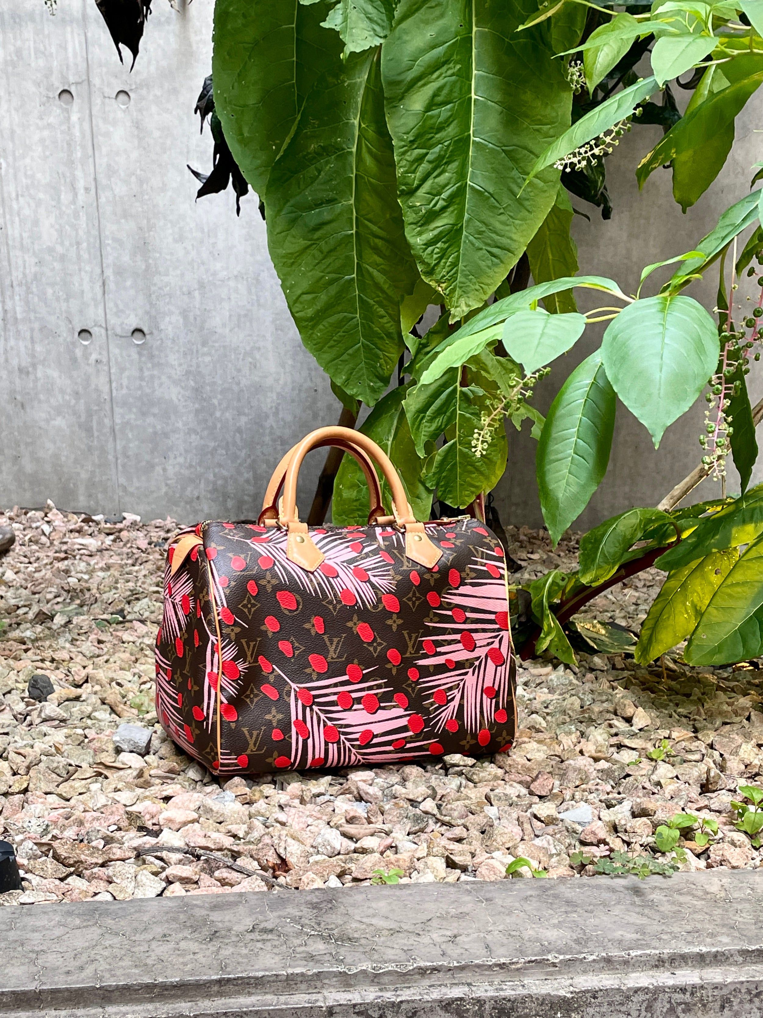 Louis Vuitton Louis Vuitton Monogram Jungle Dot Speedy 30 Handbag Size ONE SIZE - 3 Thumbnail