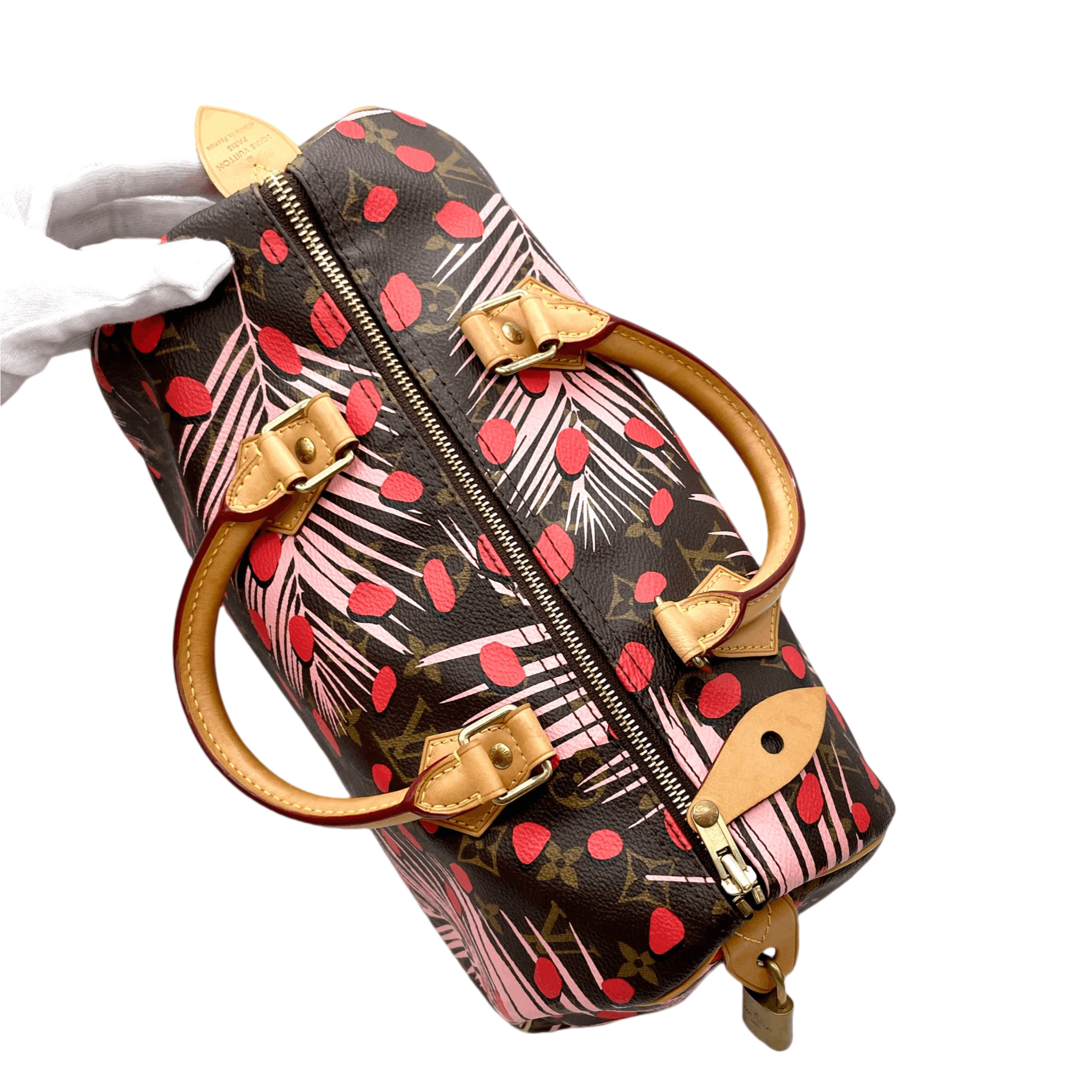 Louis Vuitton Louis Vuitton Monogram Jungle Dot Speedy 30 Handbag Size ONE SIZE - 5 Thumbnail