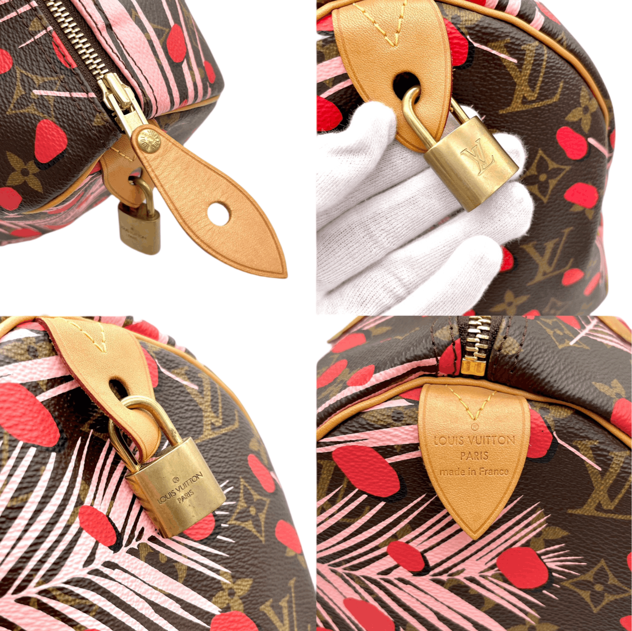Louis Vuitton Louis Vuitton Monogram Jungle Dot Speedy 30 Handbag Size ONE SIZE - 9 Thumbnail