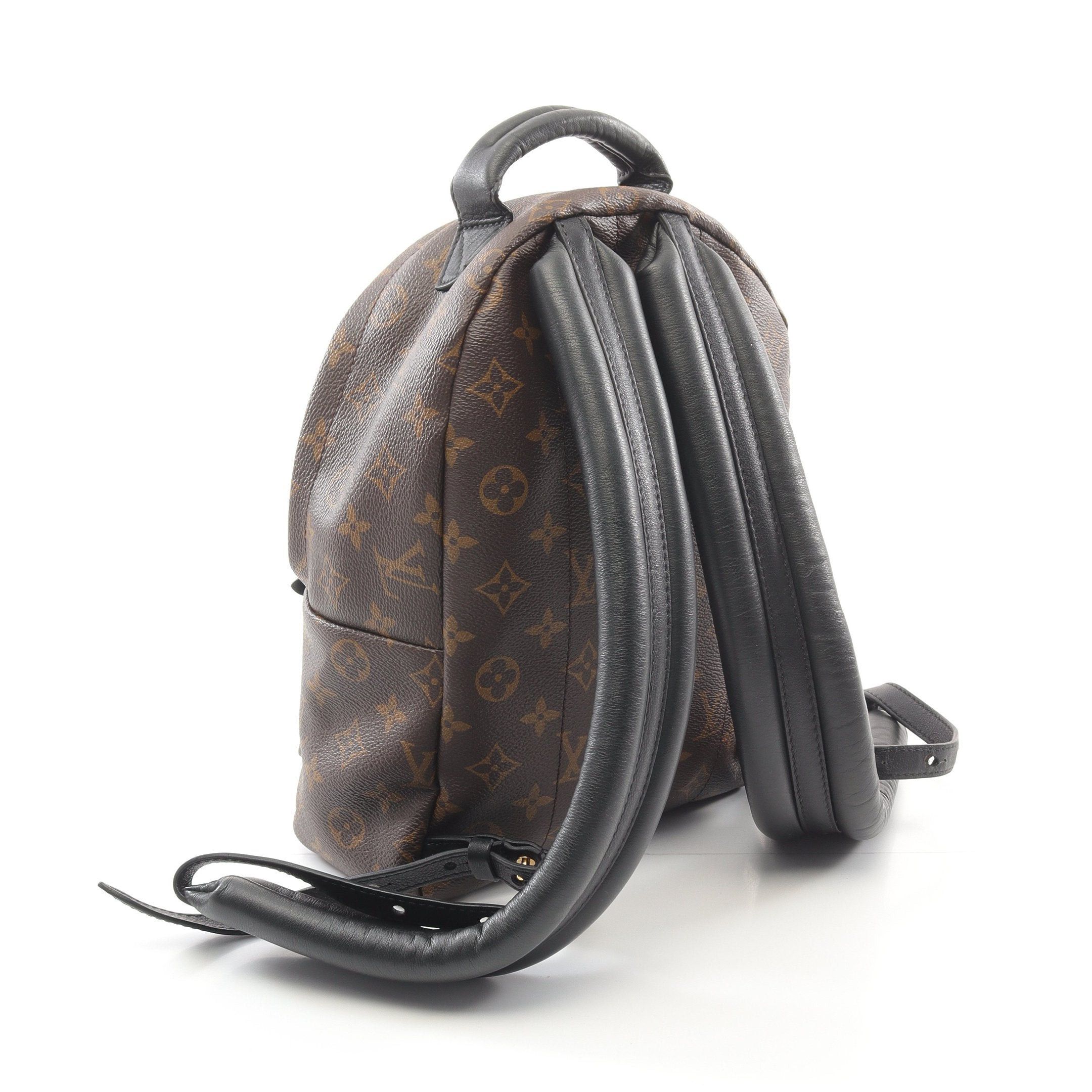 Louis Vuitton Louis Vuitton Palm Springs Pm Monogram Backpack Rucksack Leather Brown Black Size ONE SIZE - 2 Thumbnail
