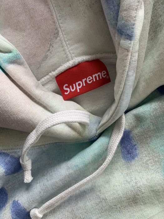 Supreme Supreme Landscape Hooded Sweatshirt Multicolor | Grailed