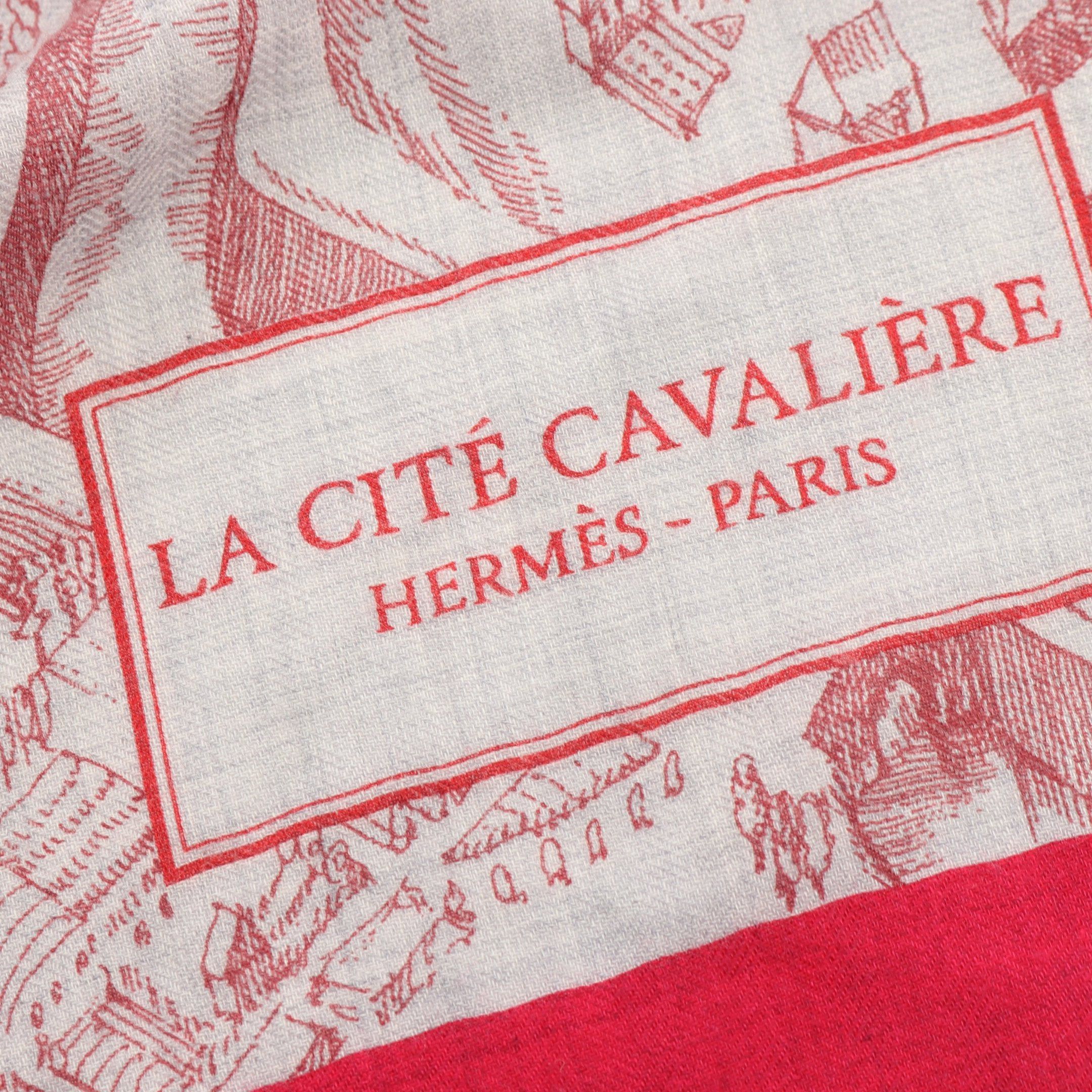 Hermes Hermes Carréjean Carres 140 La Cite Cavaliere Scarf Shawl Cashmere Silk Gray Pink Purple Multicolor Size ONE SIZE - 4 Thumbnail