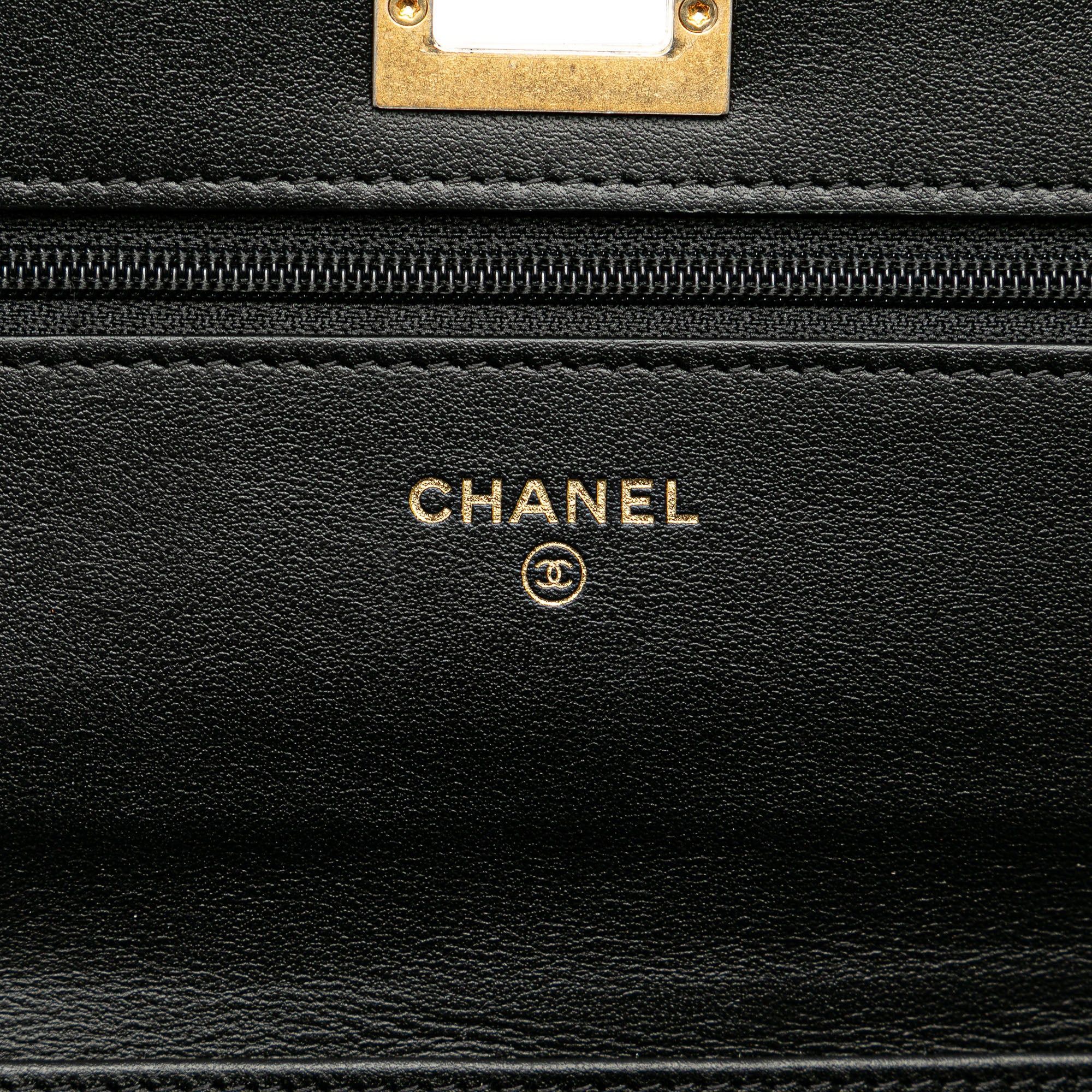 Chanel Chanel Calfskin Crocodile Embossed Graffiti 2.55 Cocodile Reissue Wallet On Chain Black Size ONE SIZE - 6 Thumbnail