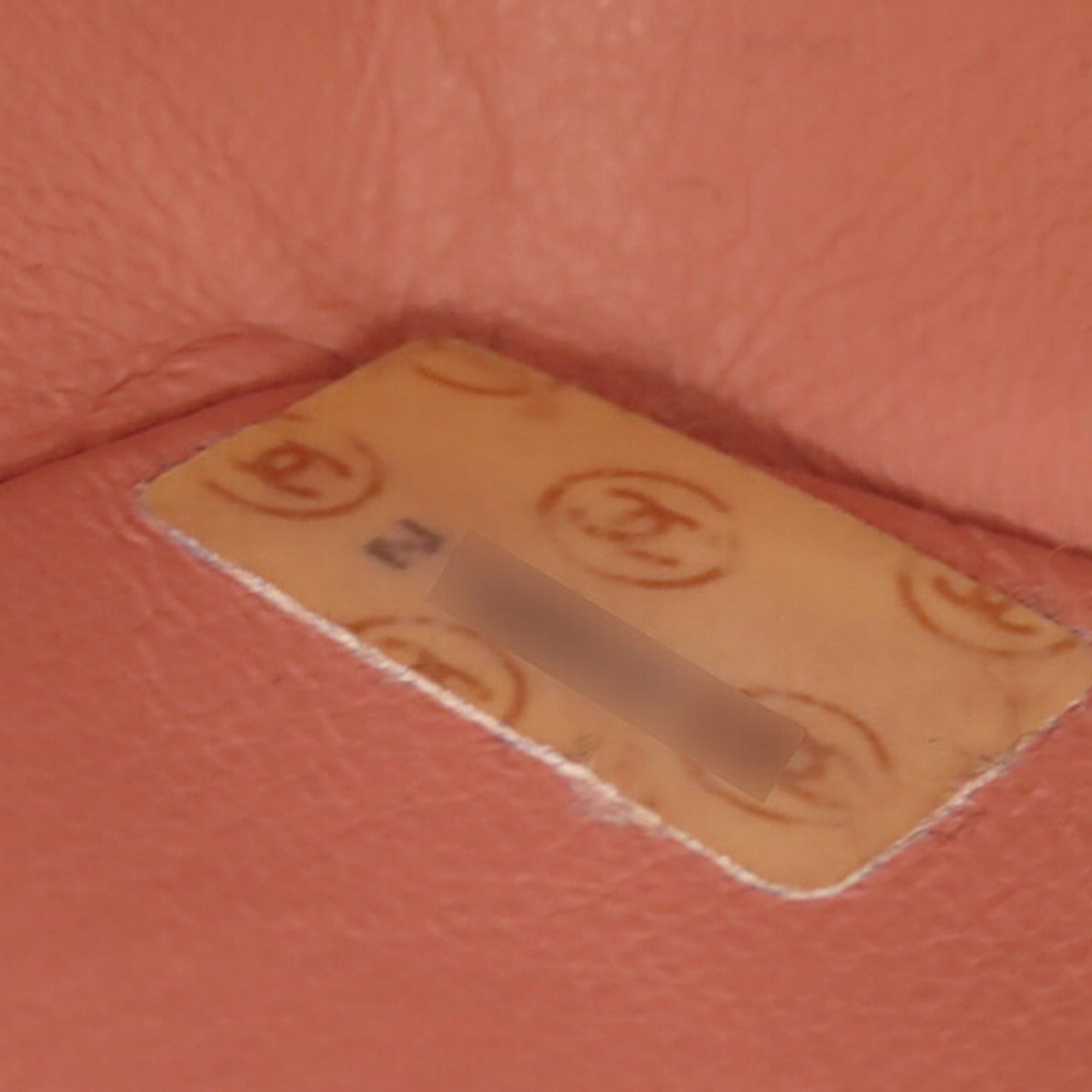 Chanel Chanel Medium Canvas Diana Flap Pink Size ONE SIZE - 6 Thumbnail
