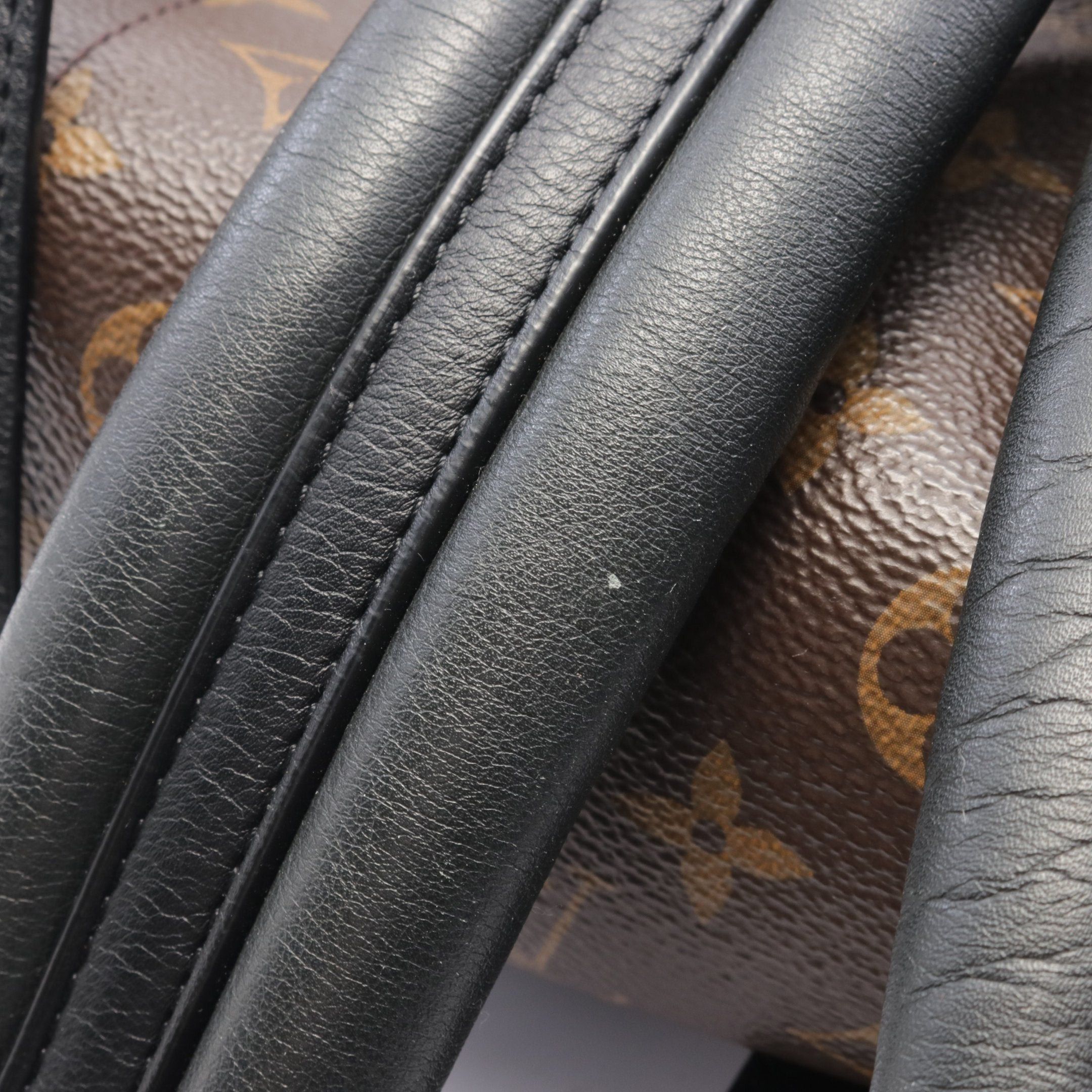 Louis Vuitton Louis Vuitton Palm Springs Backpack Mm Monogram Rucksack Leather Brown Black Size ONE SIZE - 6 Thumbnail