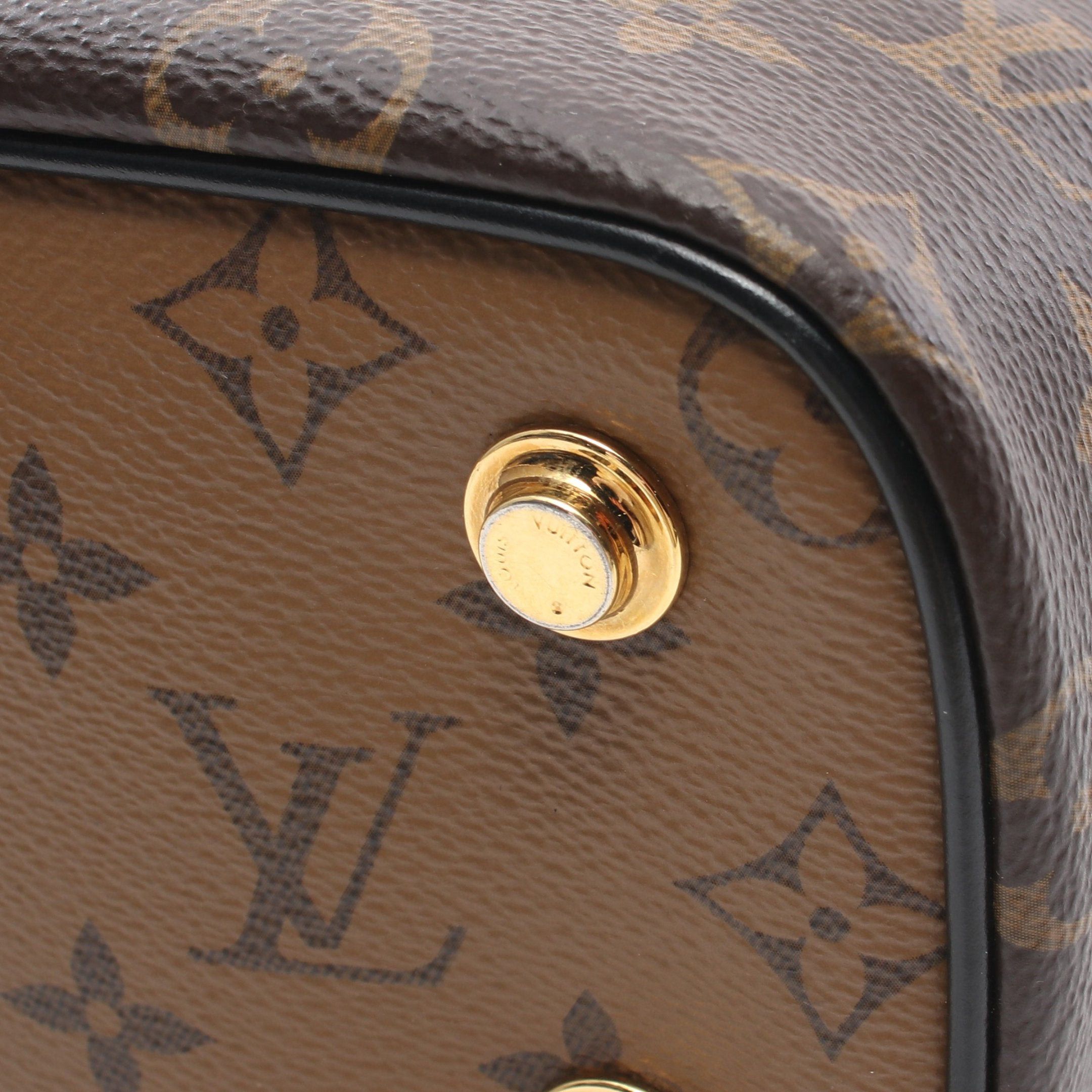 Louis Vuitton Louis Vuitton Vanity Nv Pm Monogram Reverse Handbag Bag Leather Brown Black Size ONE SIZE - 6 Thumbnail