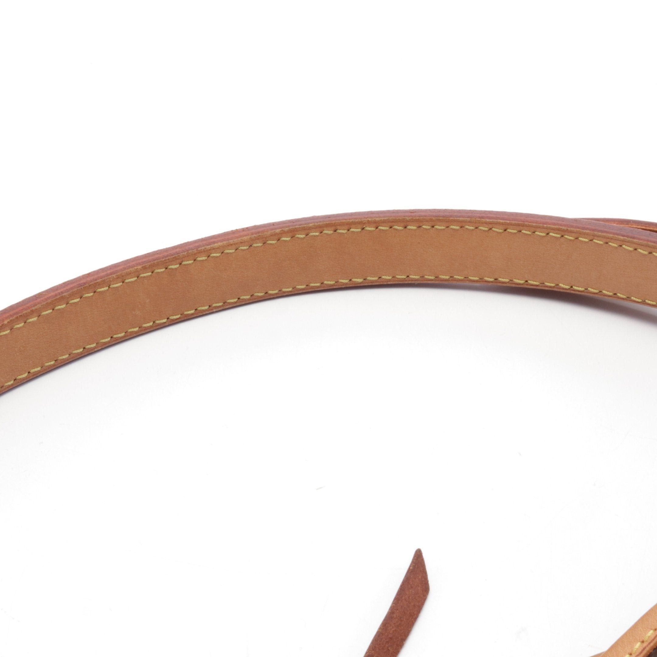 Louis Vuitton Louis Vuitton Peti Noe Monogram Rayures Shoulder Bag Leather Brown Beige Size ONE SIZE - 7 Thumbnail
