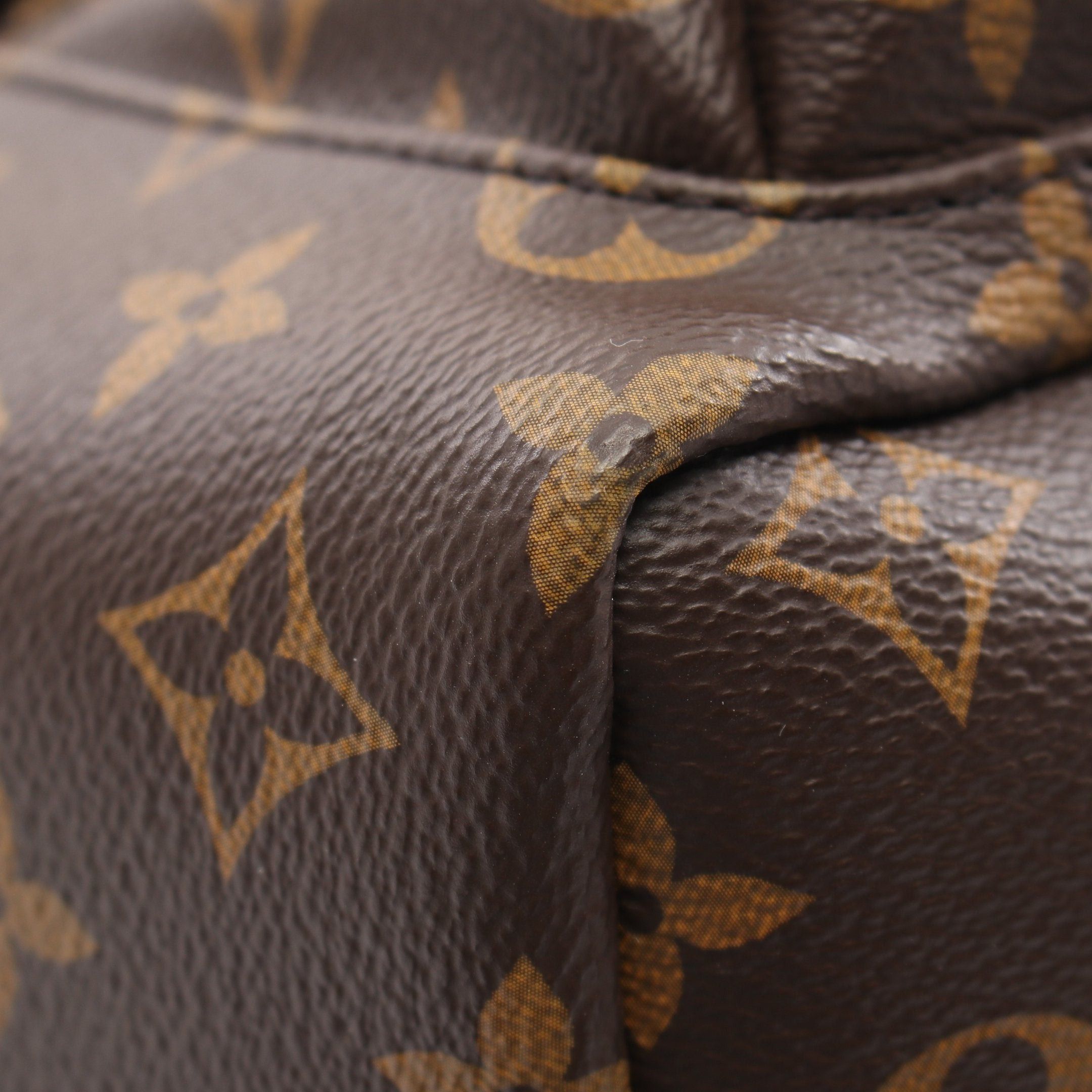 Louis Vuitton Louis Vuitton Palm Springs Pm Monogram Backpack Rucksack Leather Brown Black Size ONE SIZE - 7 Thumbnail