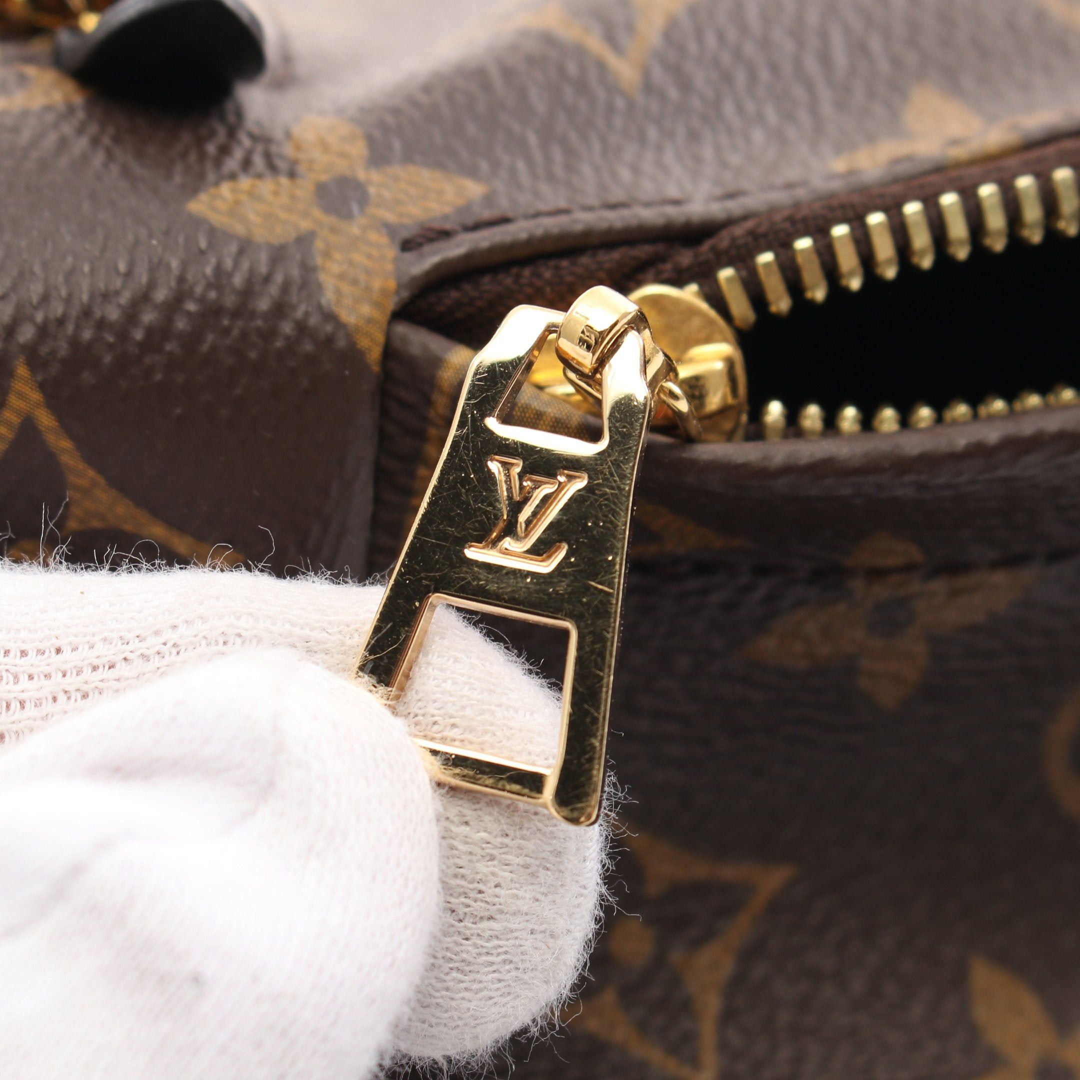 Louis Vuitton Louis Vuitton Palm Springs Pm Monogram Backpack Rucksack Leather Brown Black Size ONE SIZE - 6 Thumbnail
