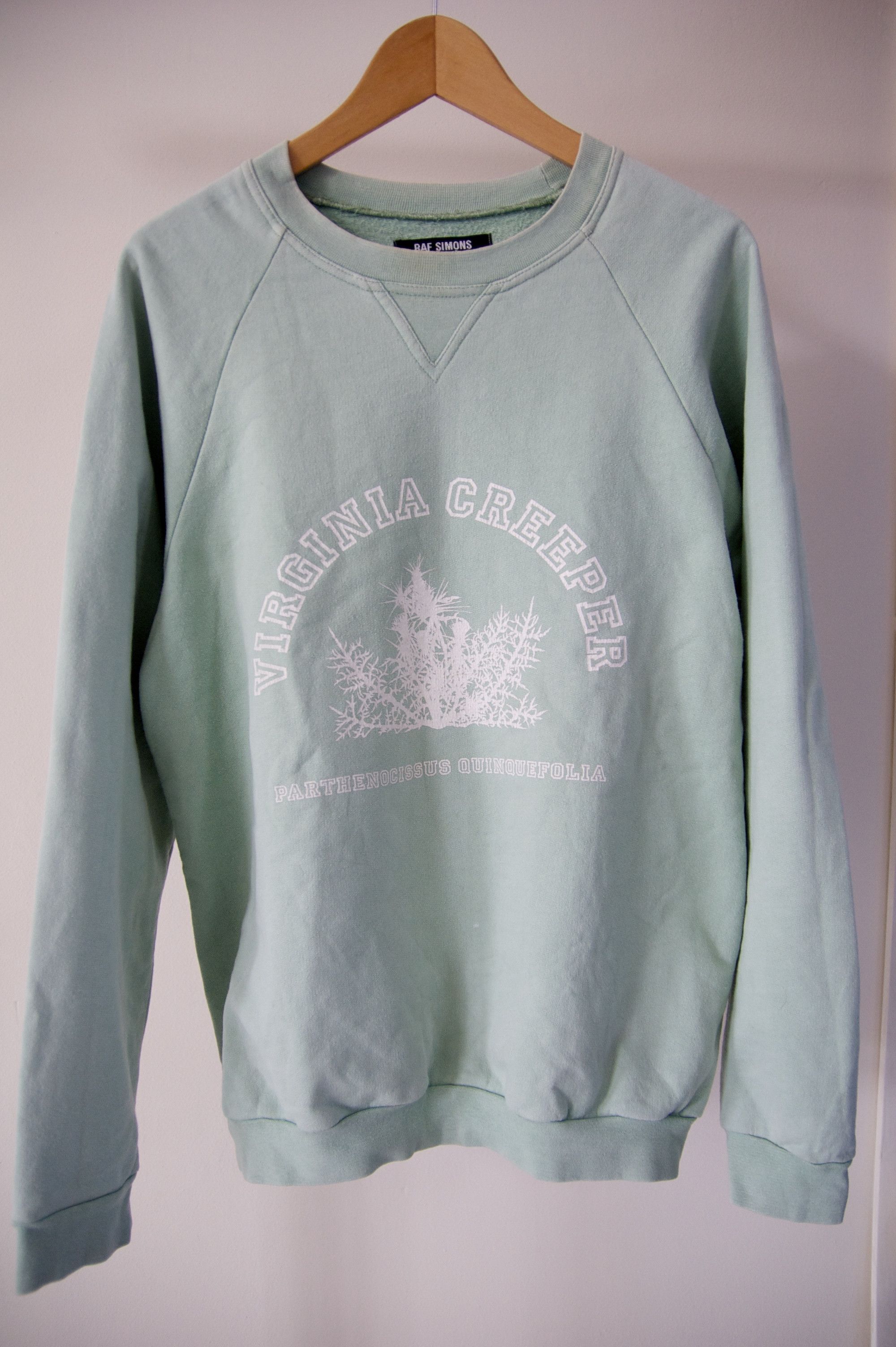 Aw02 Virginia Creeper Sweater