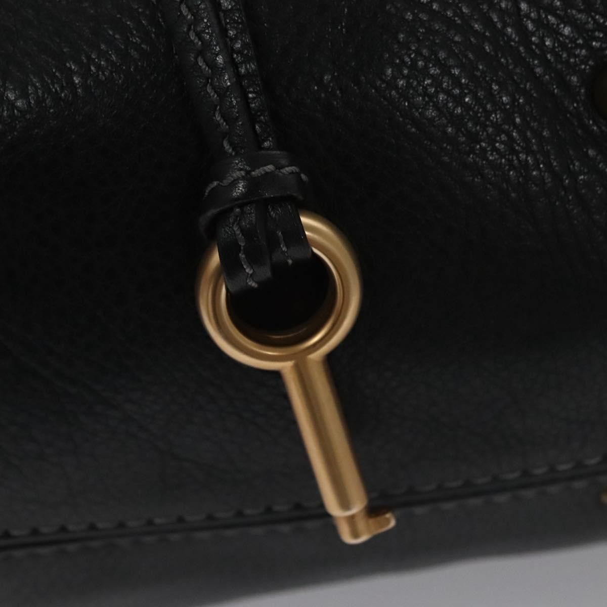 Chloe Chloé Paddington handbag Size ONE SIZE - 22 Thumbnail
