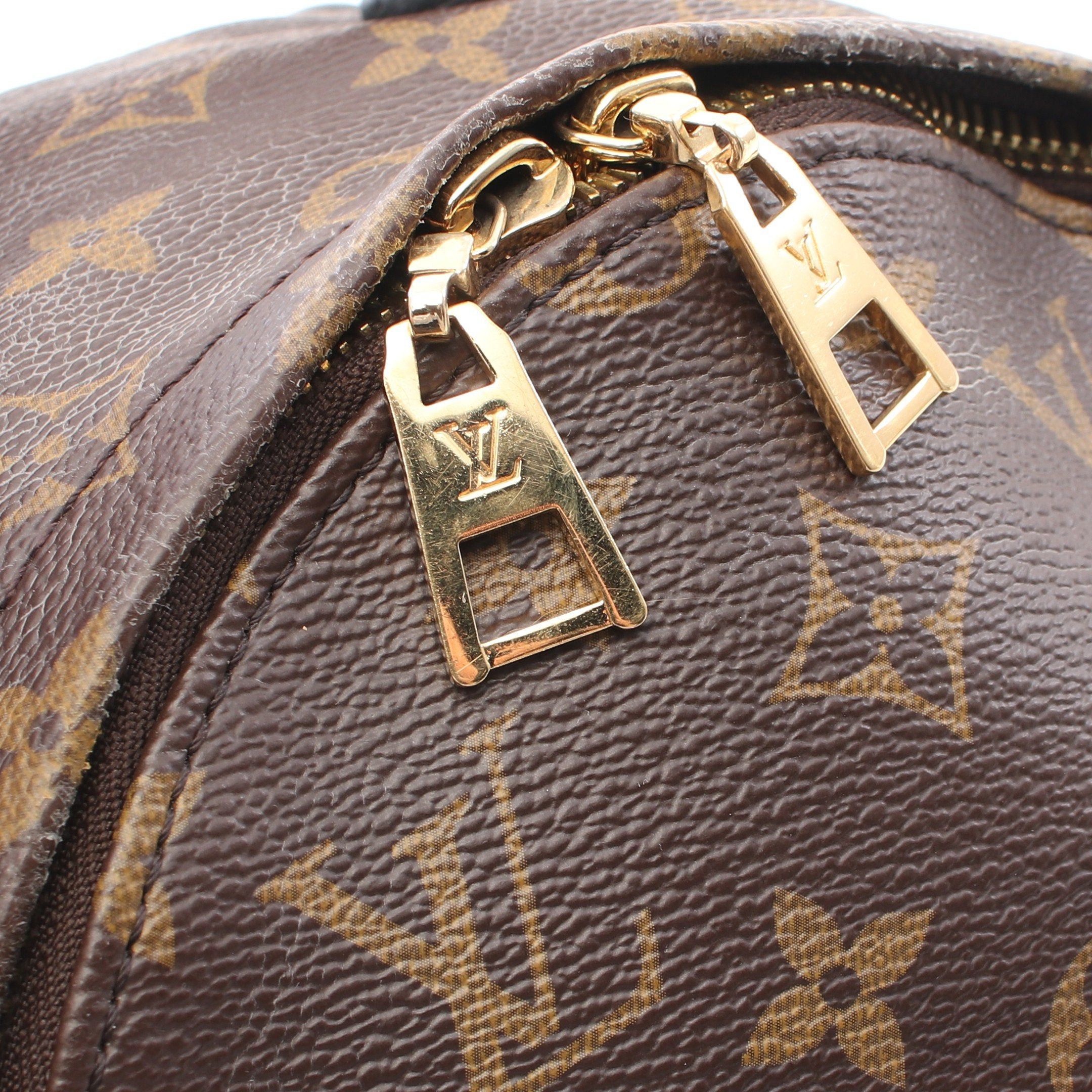 Louis Vuitton Louis Vuitton Palm Springs Backpack Pm Monogram Rucksack Leather Brown Black Size ONE SIZE - 12 Thumbnail