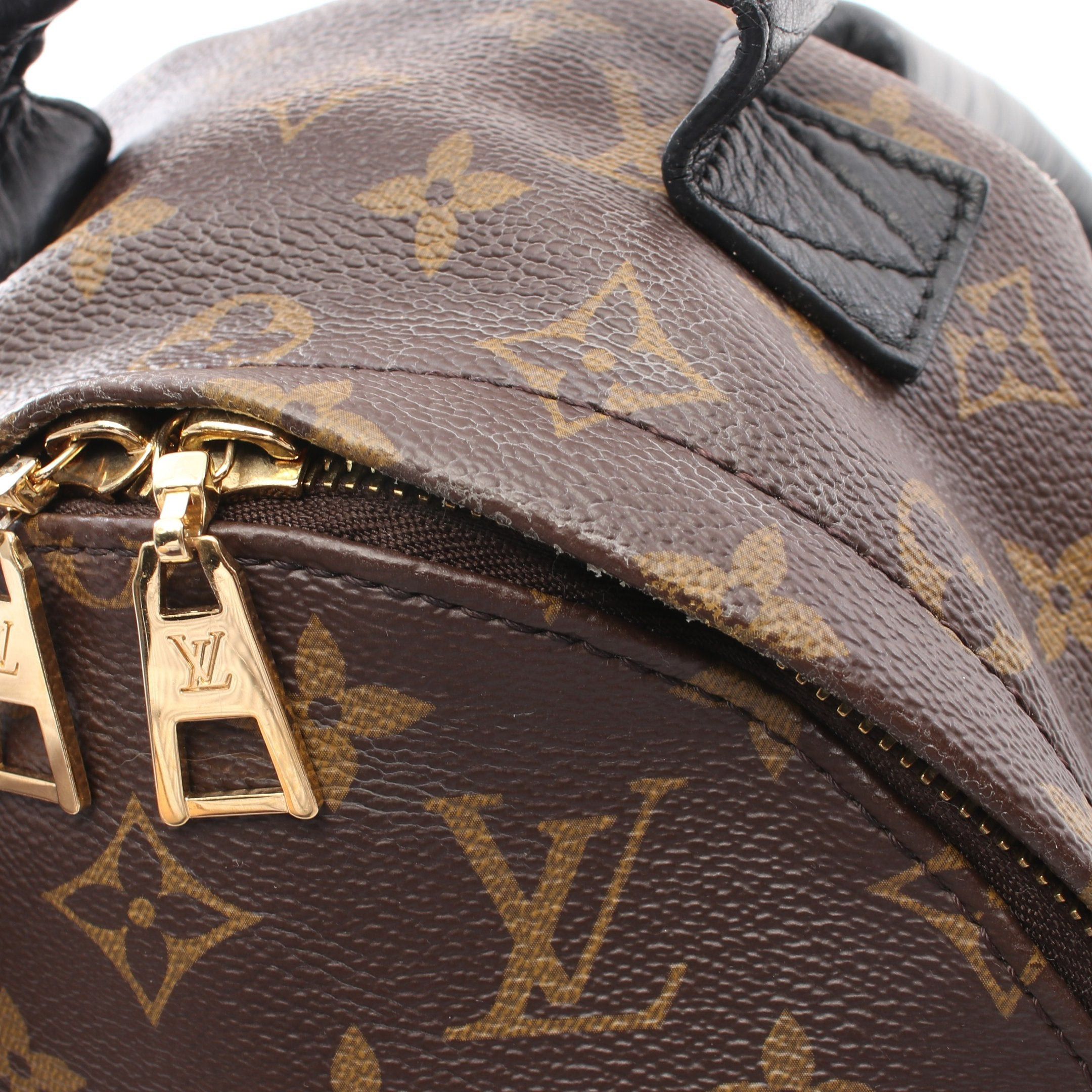 Louis Vuitton Louis Vuitton Palm Springs Backpack Pm Monogram Rucksack Leather Brown Black Size ONE SIZE - 7 Thumbnail