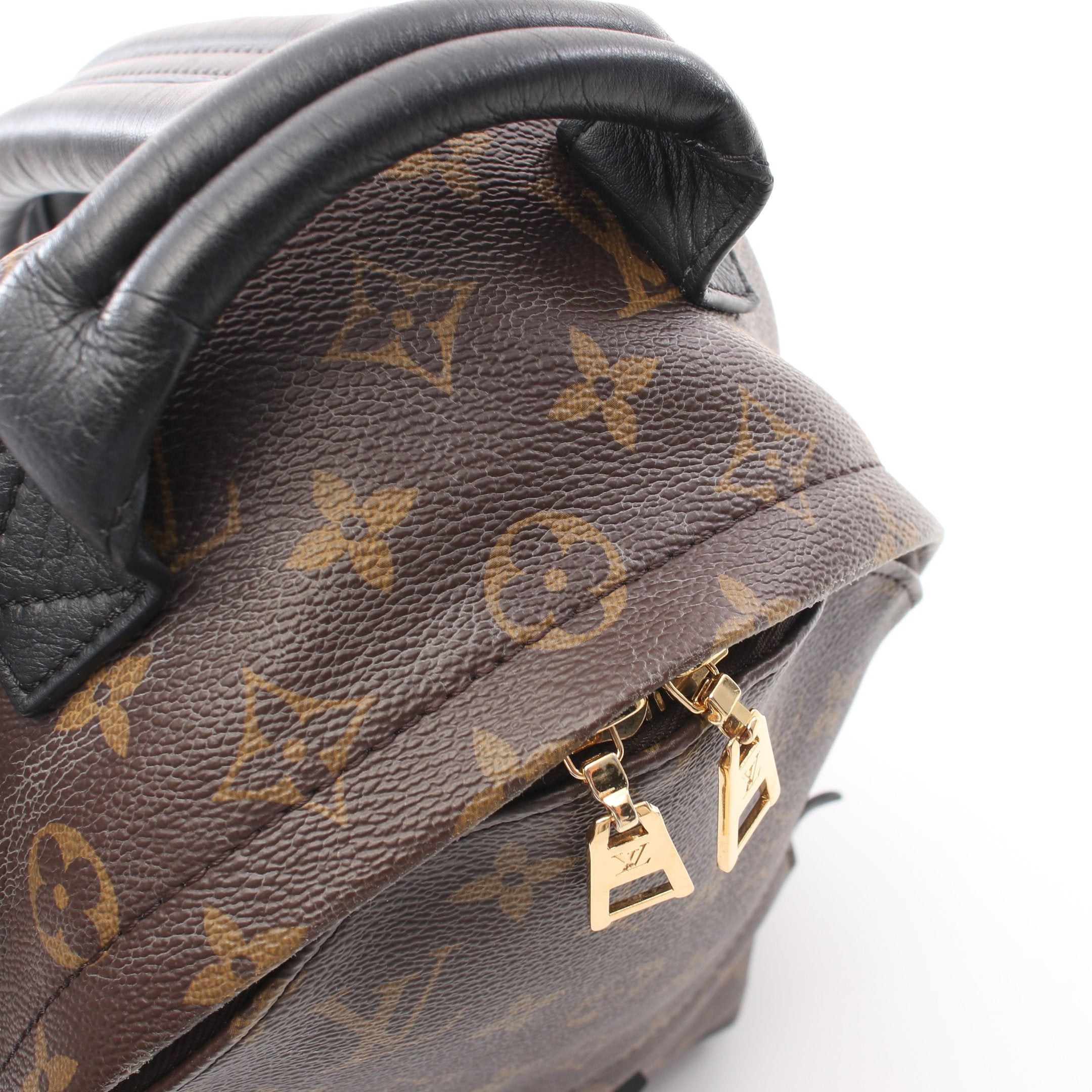 Louis Vuitton Louis Vuitton Palm Springs Backpack Pm Monogram Rucksack Leather Brown Black Size ONE SIZE - 6 Thumbnail