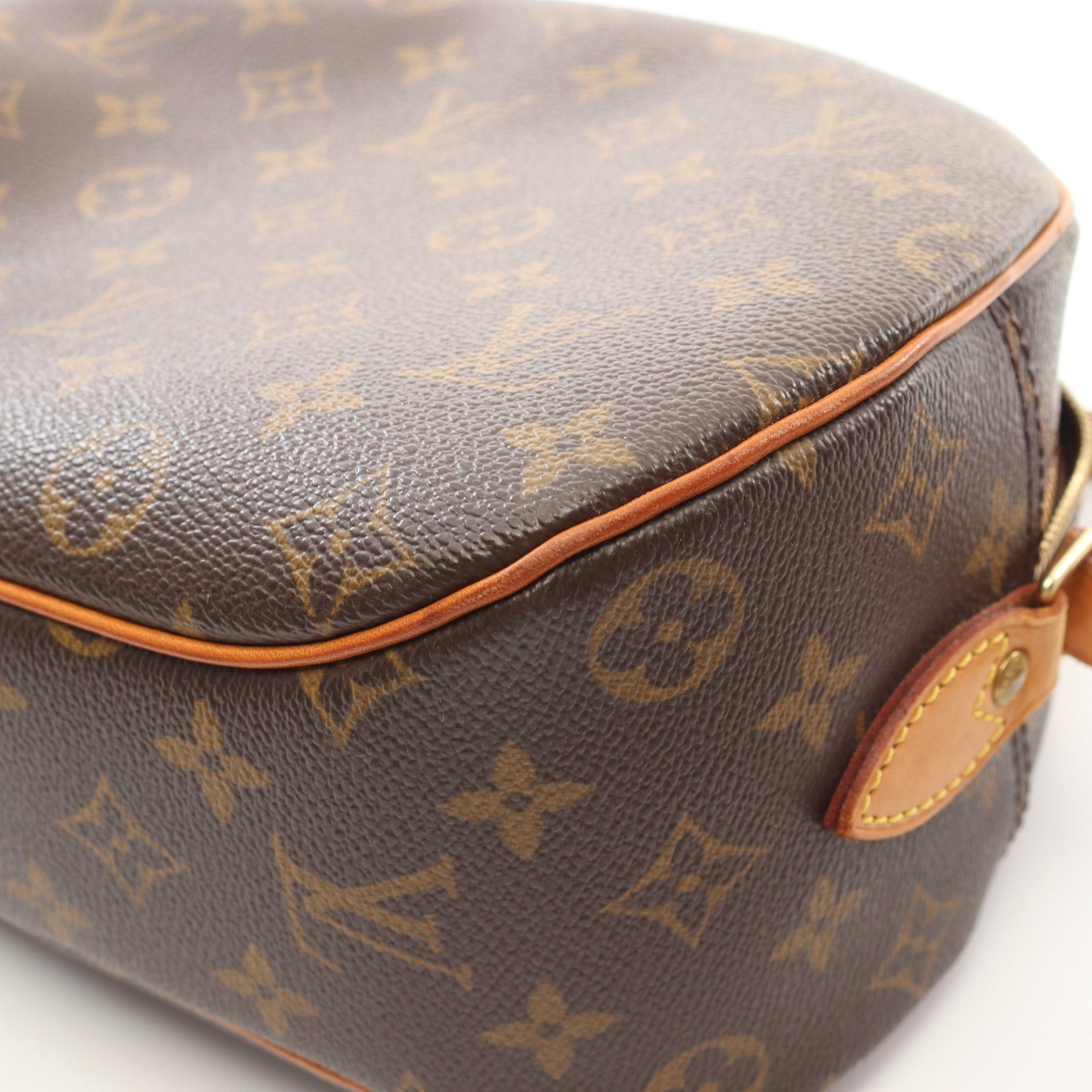 Louis Vuitton Louis Vuitton Blower Monogram Shoulder Bag Leather Brown Size ONE SIZE - 9 Thumbnail