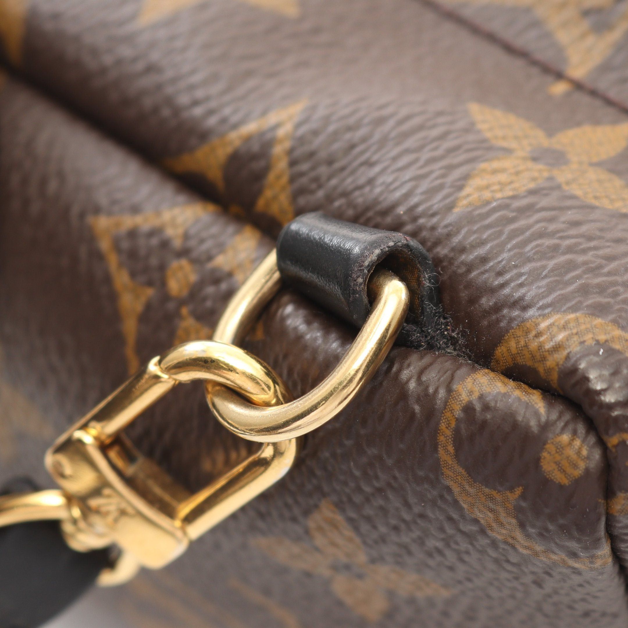 Louis Vuitton Louis Vuitton Palm Springs Mini Monogram Backpack Rucksack Leather Brown Black Size ONE SIZE - 8 Thumbnail