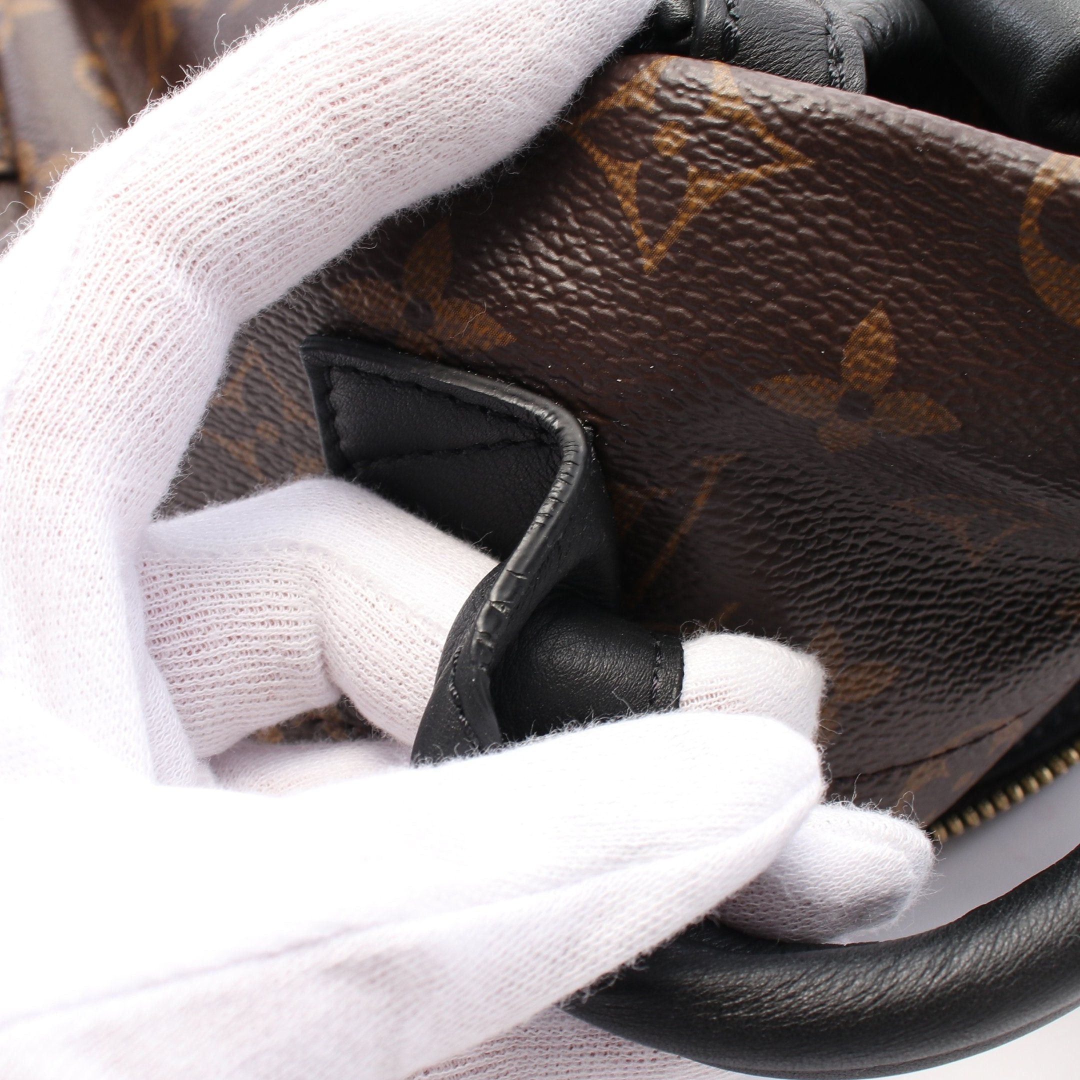 Louis Vuitton Louis Vuitton Palm Springs Backpack Pm Monogram Rucksack Leather Brown Black Size ONE SIZE - 7 Thumbnail