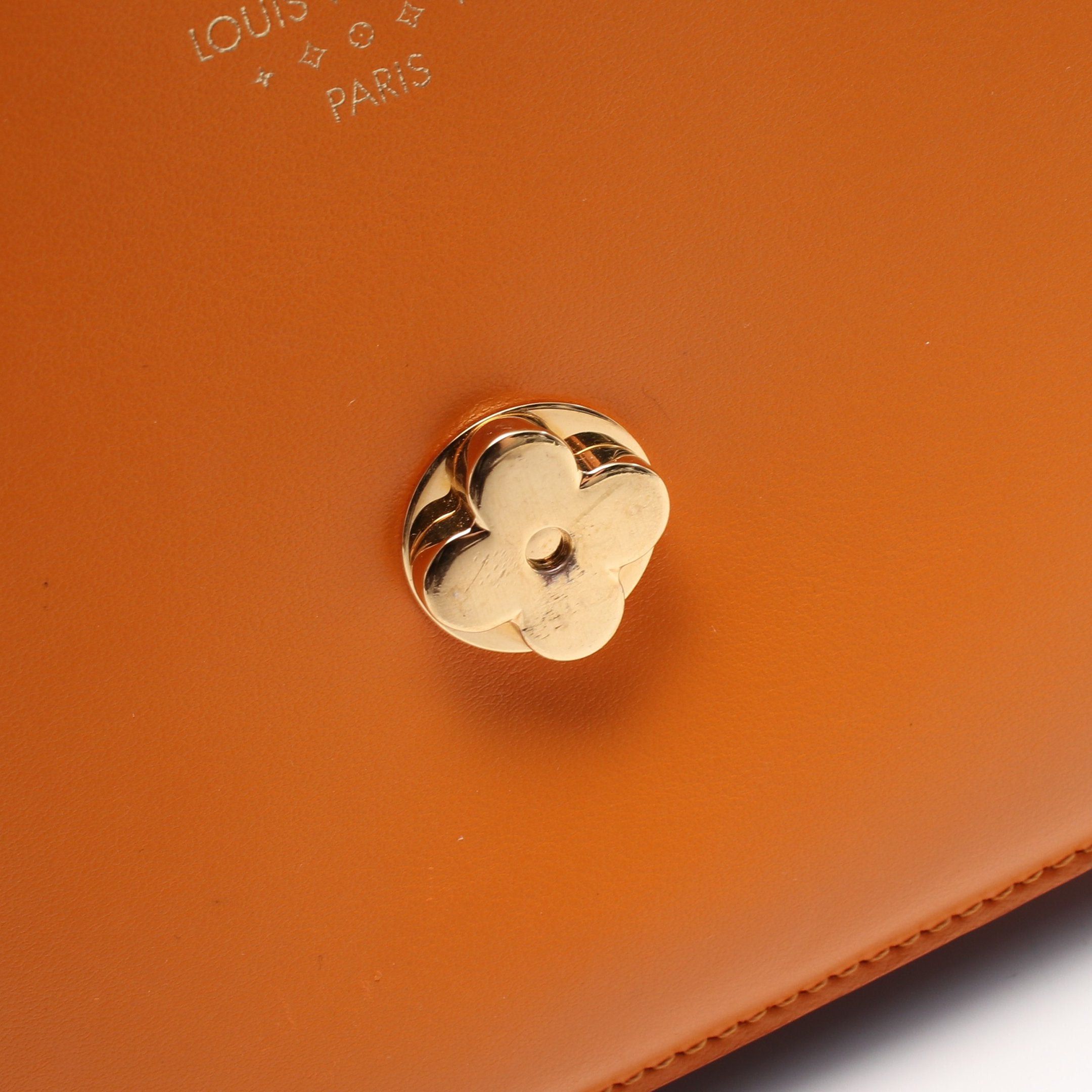 Louis Vuitton Louis Vuitton Lv Pont 9 Neuf Summer Gold Shoulder Bag Leather Orange Size ONE SIZE - 5 Thumbnail