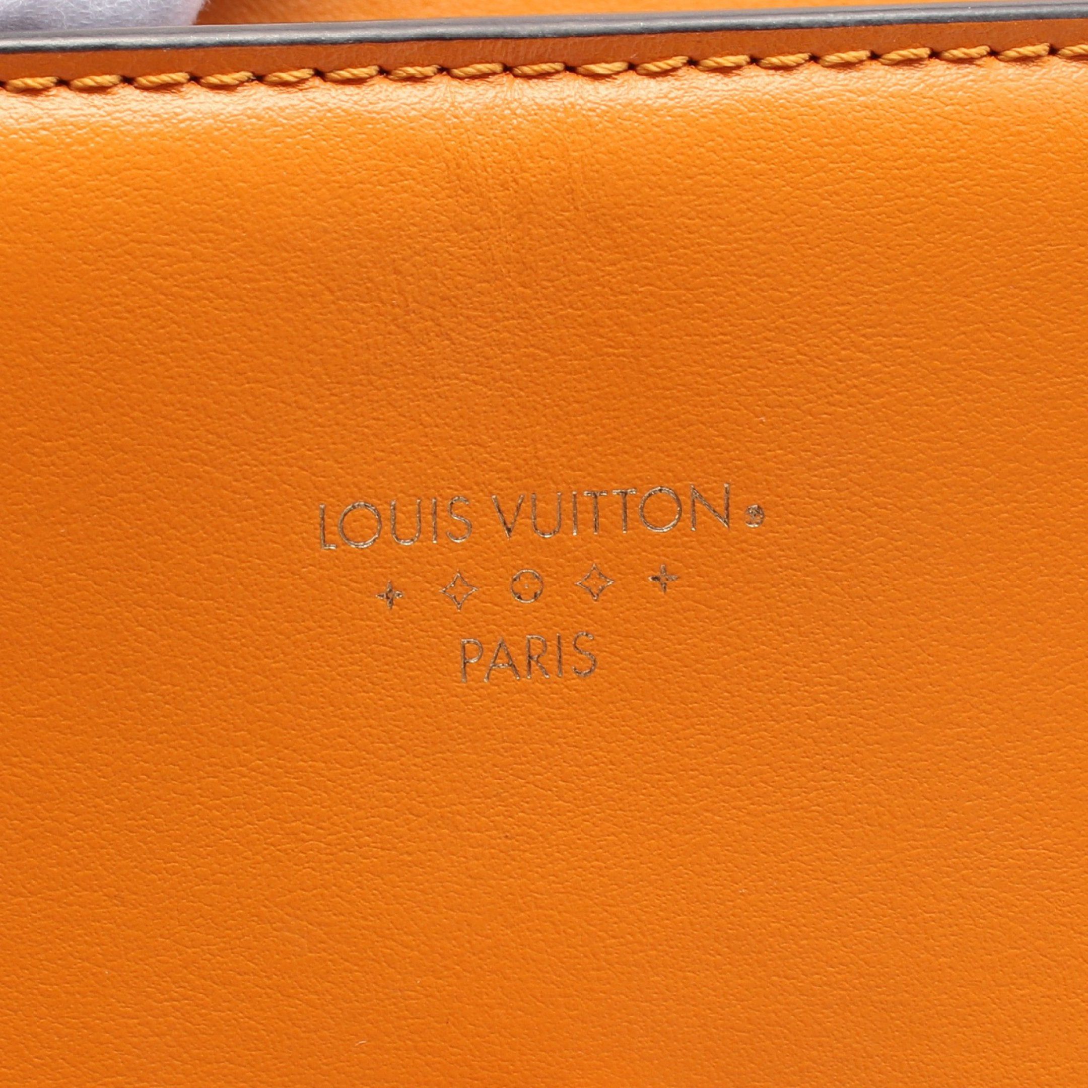 Louis Vuitton Louis Vuitton Lv Pont 9 Neuf Summer Gold Shoulder Bag Leather Orange Size ONE SIZE - 4 Thumbnail